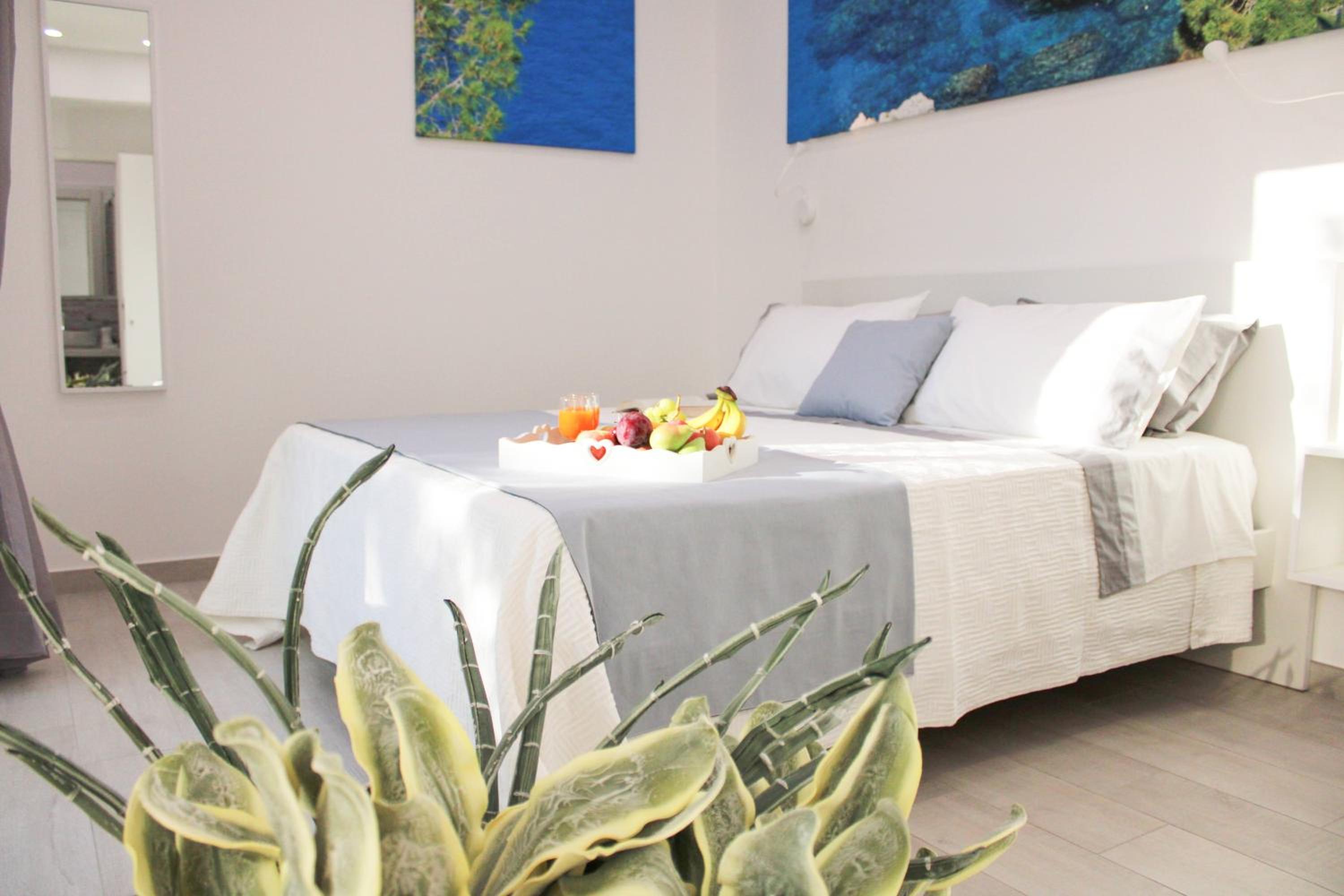 Double Room with Terrace