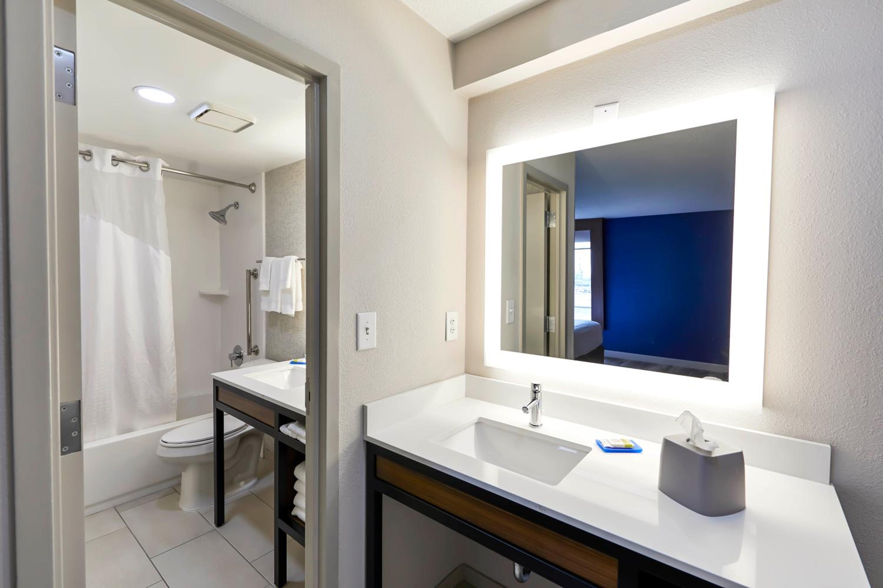 One-Bedroom King Suite - Photo 4