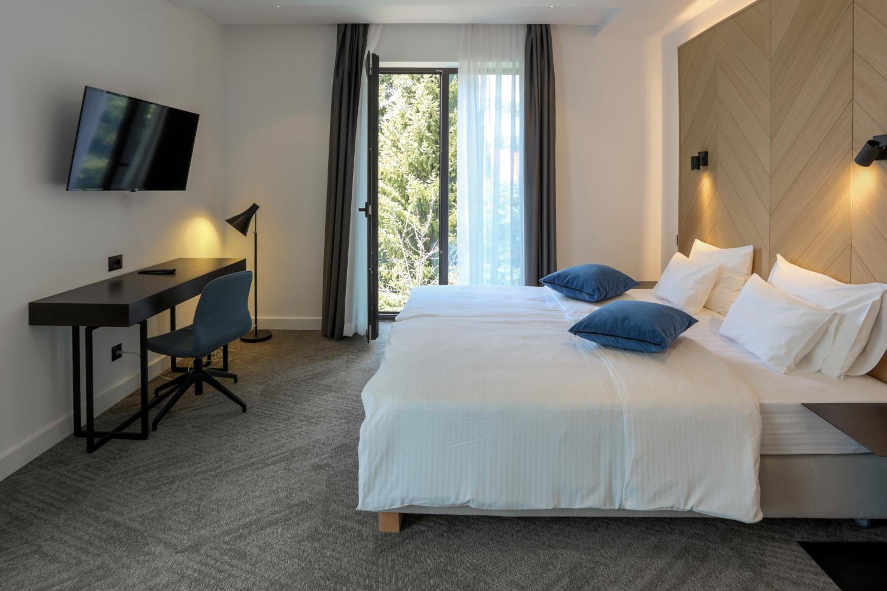 Deluxe King Suite - Photo 1