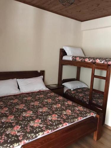 Deluxe Double or Twin Room with Mountain View