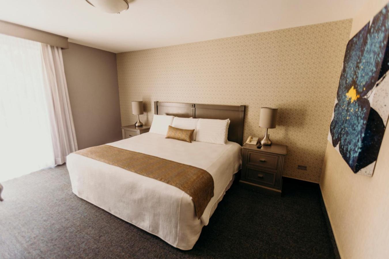 Suite - Photo 7