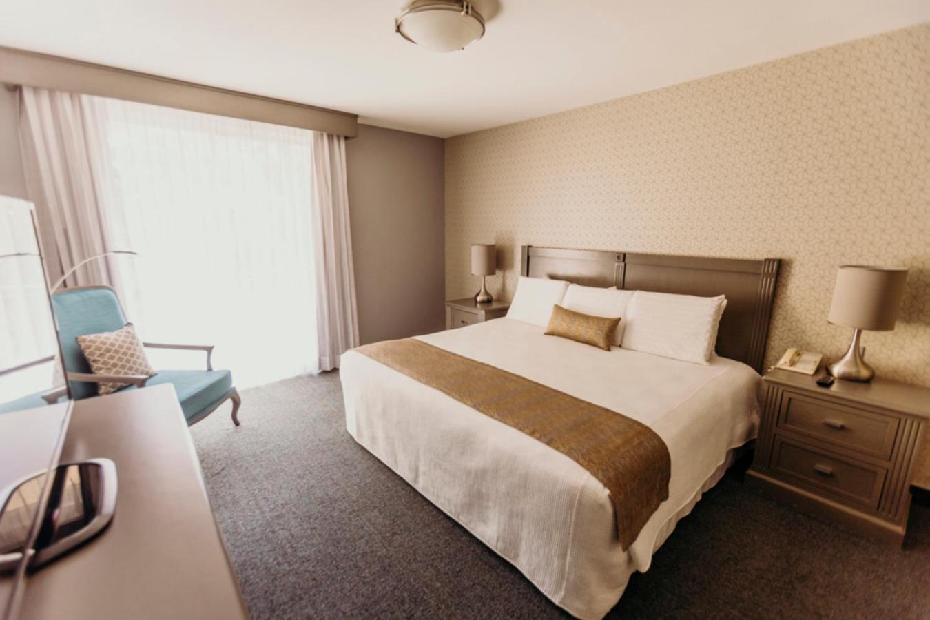 Suite - Photo 3