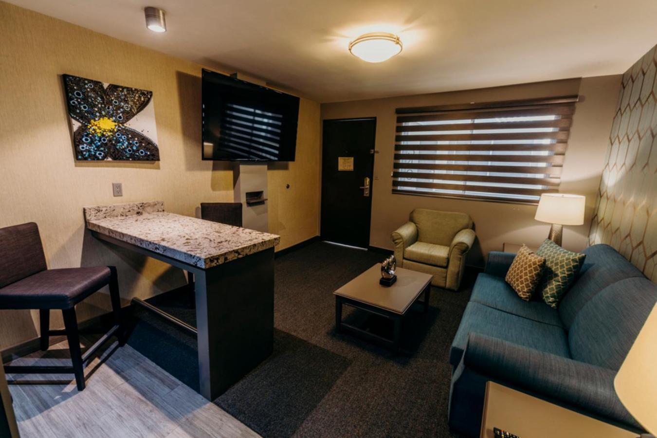 Suite - Photo 4