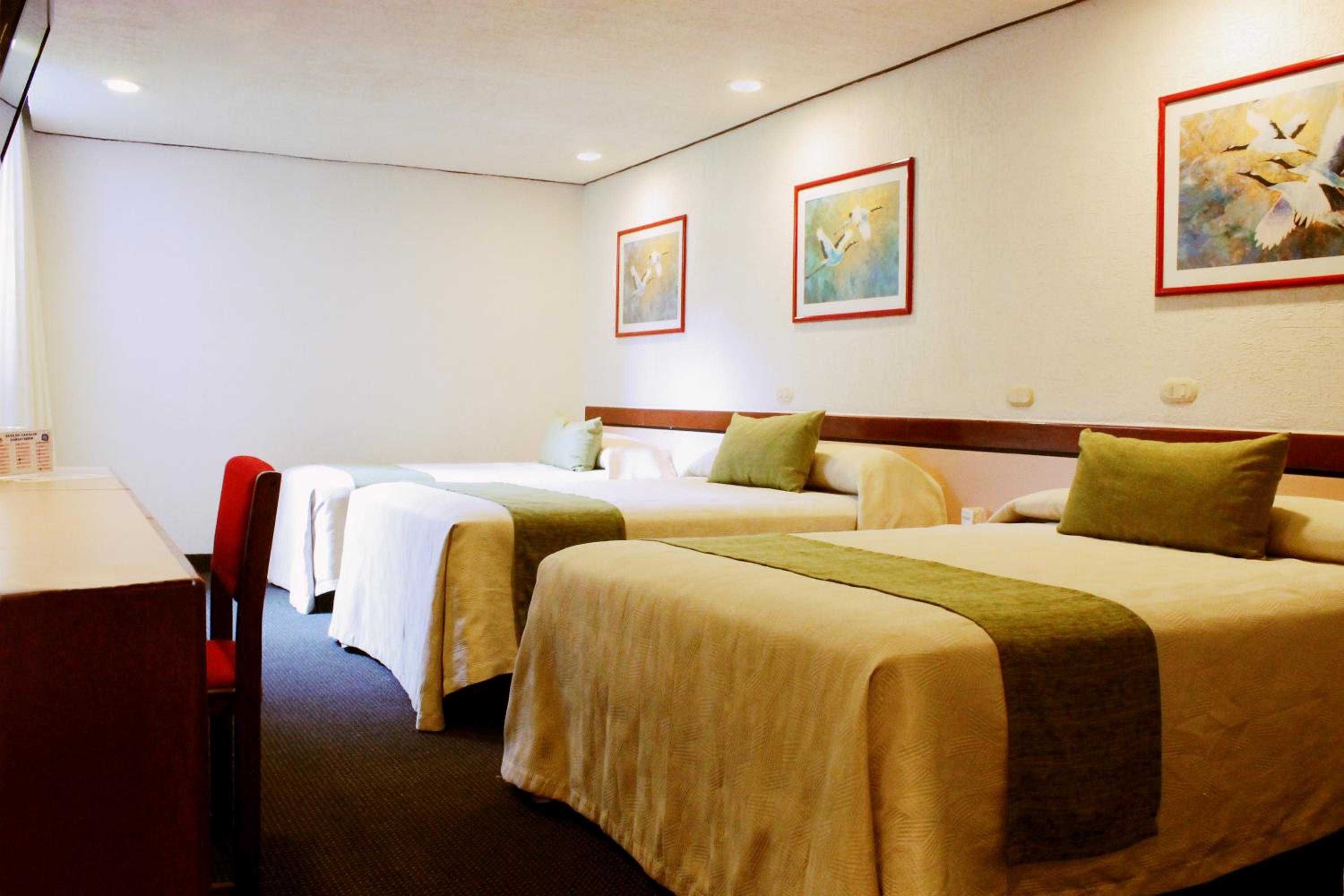 Double Room with Two Double Beds photo 3
