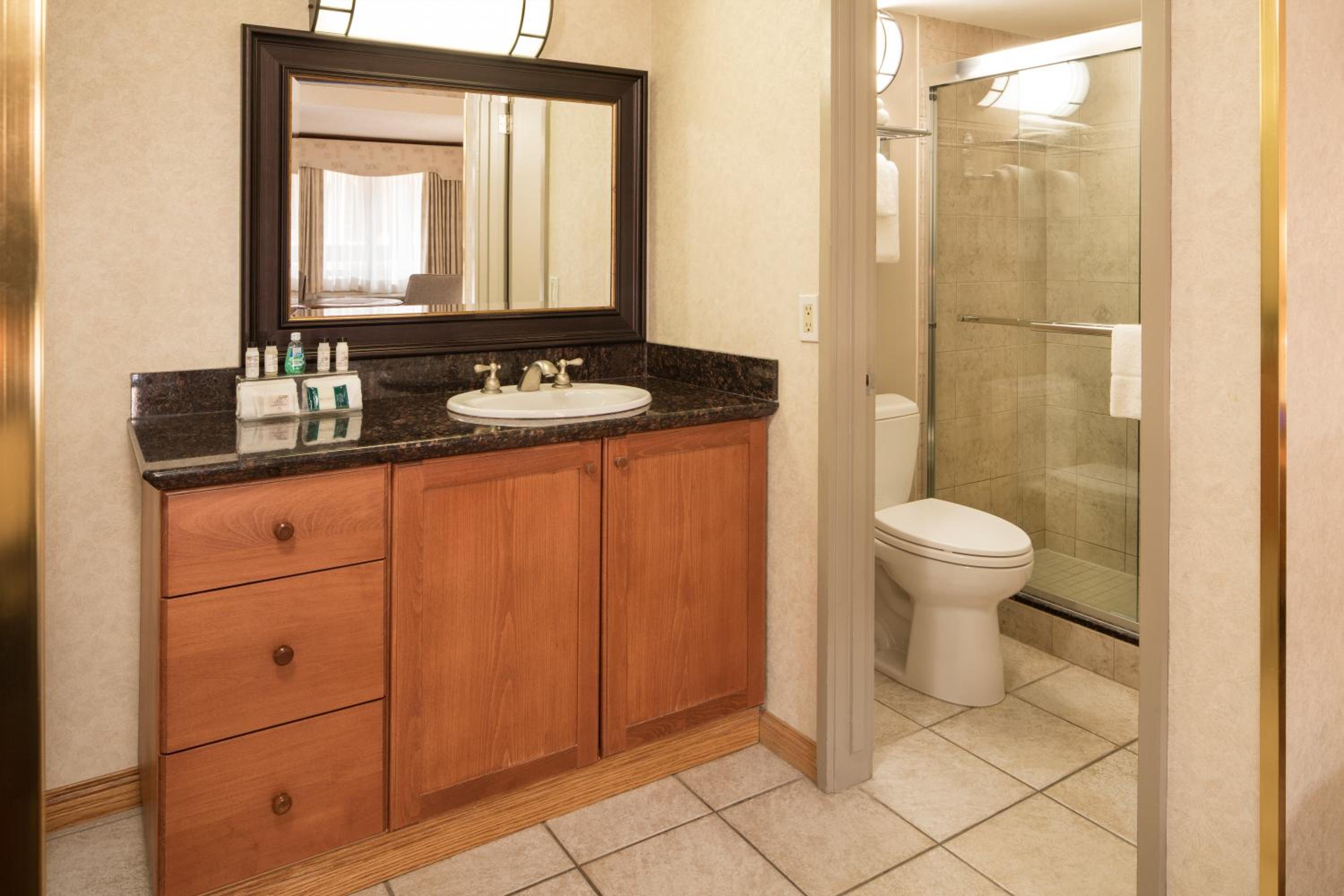 Deluxe Room with King Bed - Photo 5