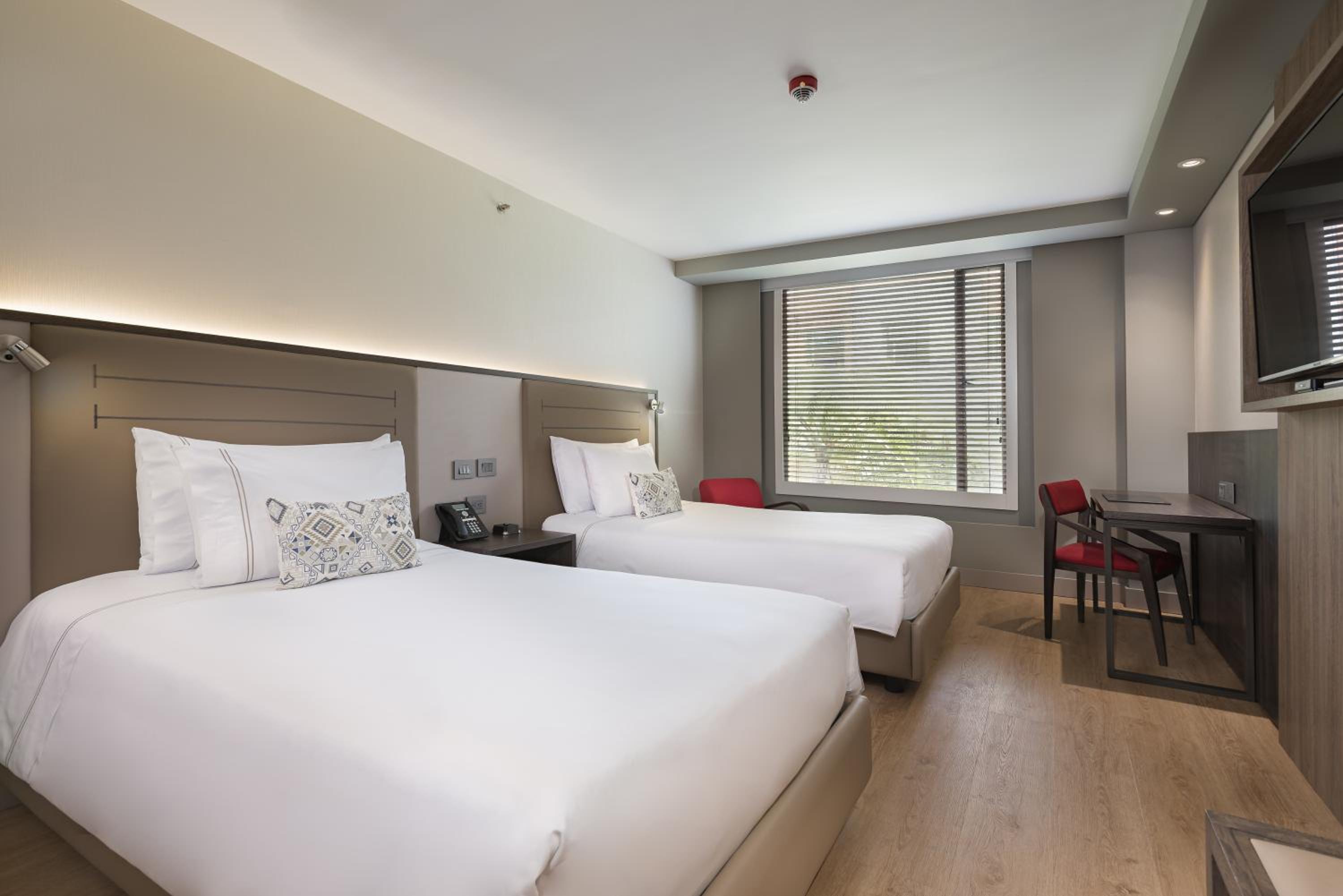 Deluxe Twin Room photo 2
