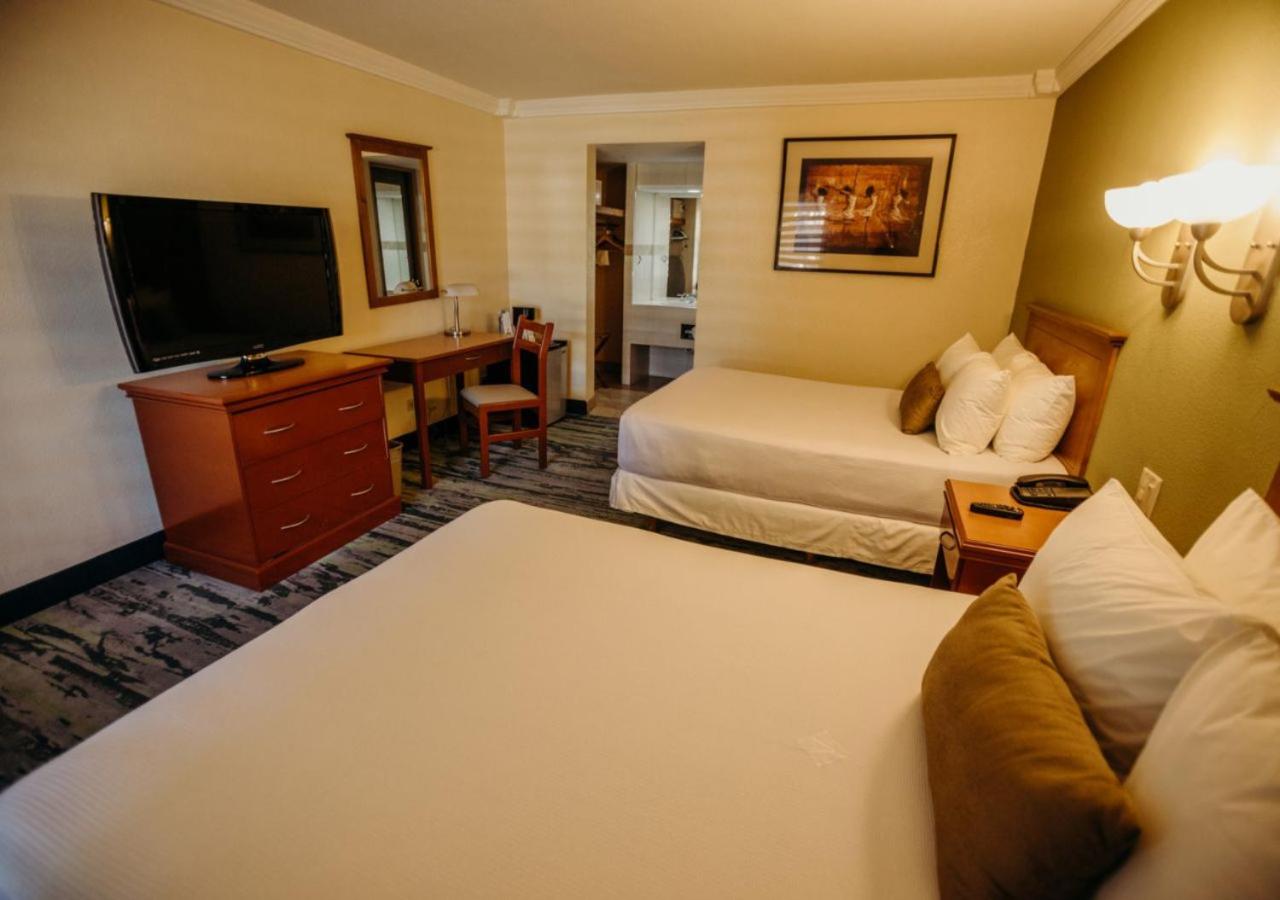 Standard  Room - Photo 5