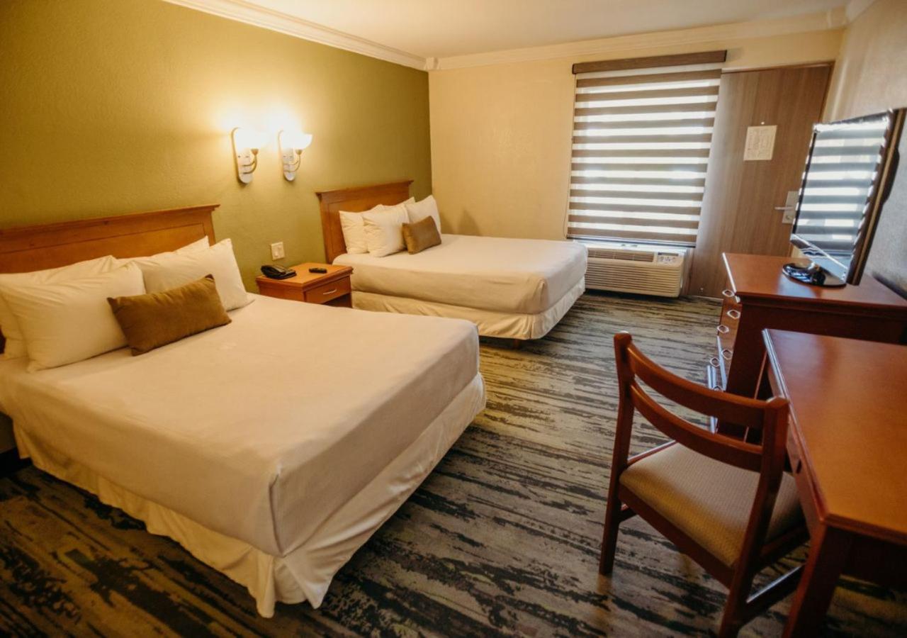Standard  Room - Photo 4