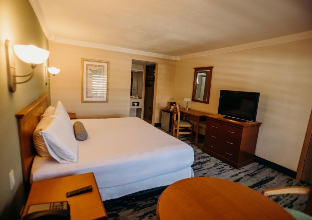 Standard King Room - Photo 4