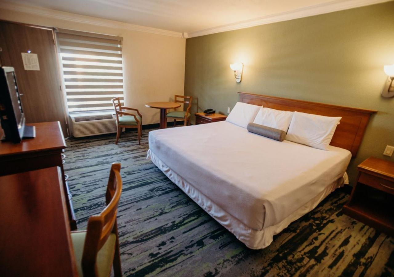 Standard King Room - Photo 3