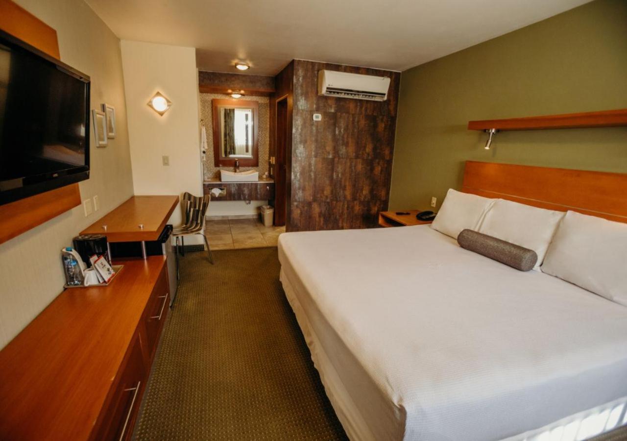 Deluxe Room - Photo 4