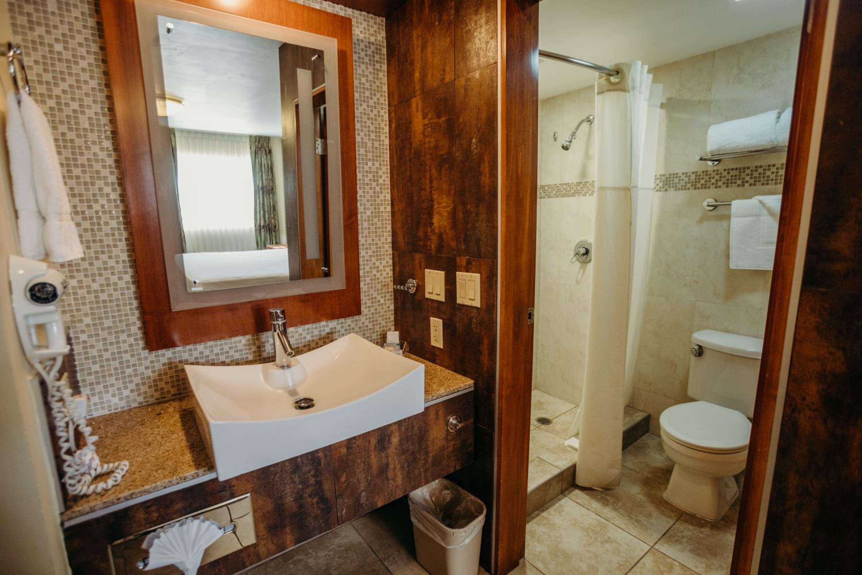 Deluxe Room - Photo 2