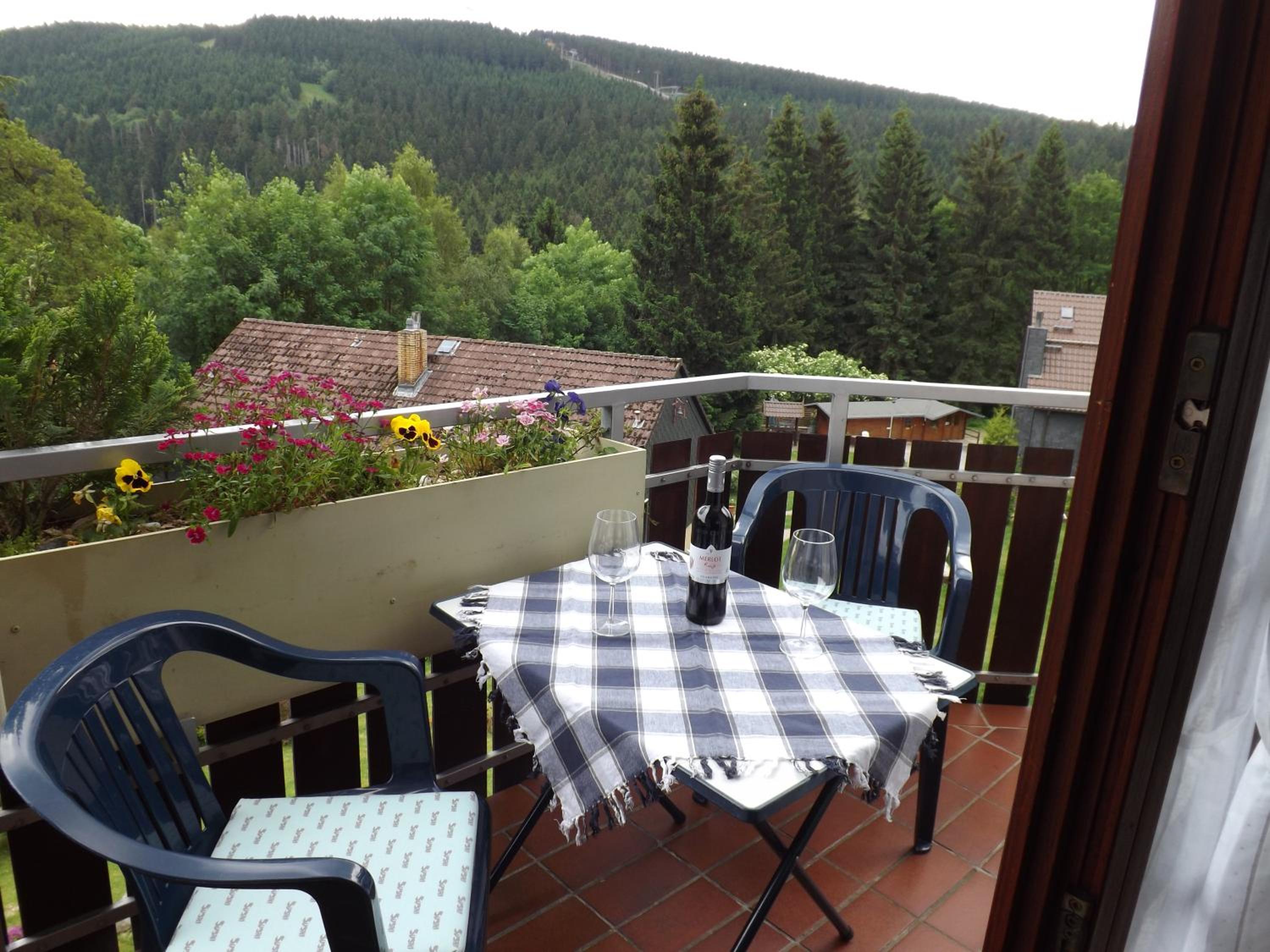 Superior Two-Bedroom Apartment with Balcony photo 2