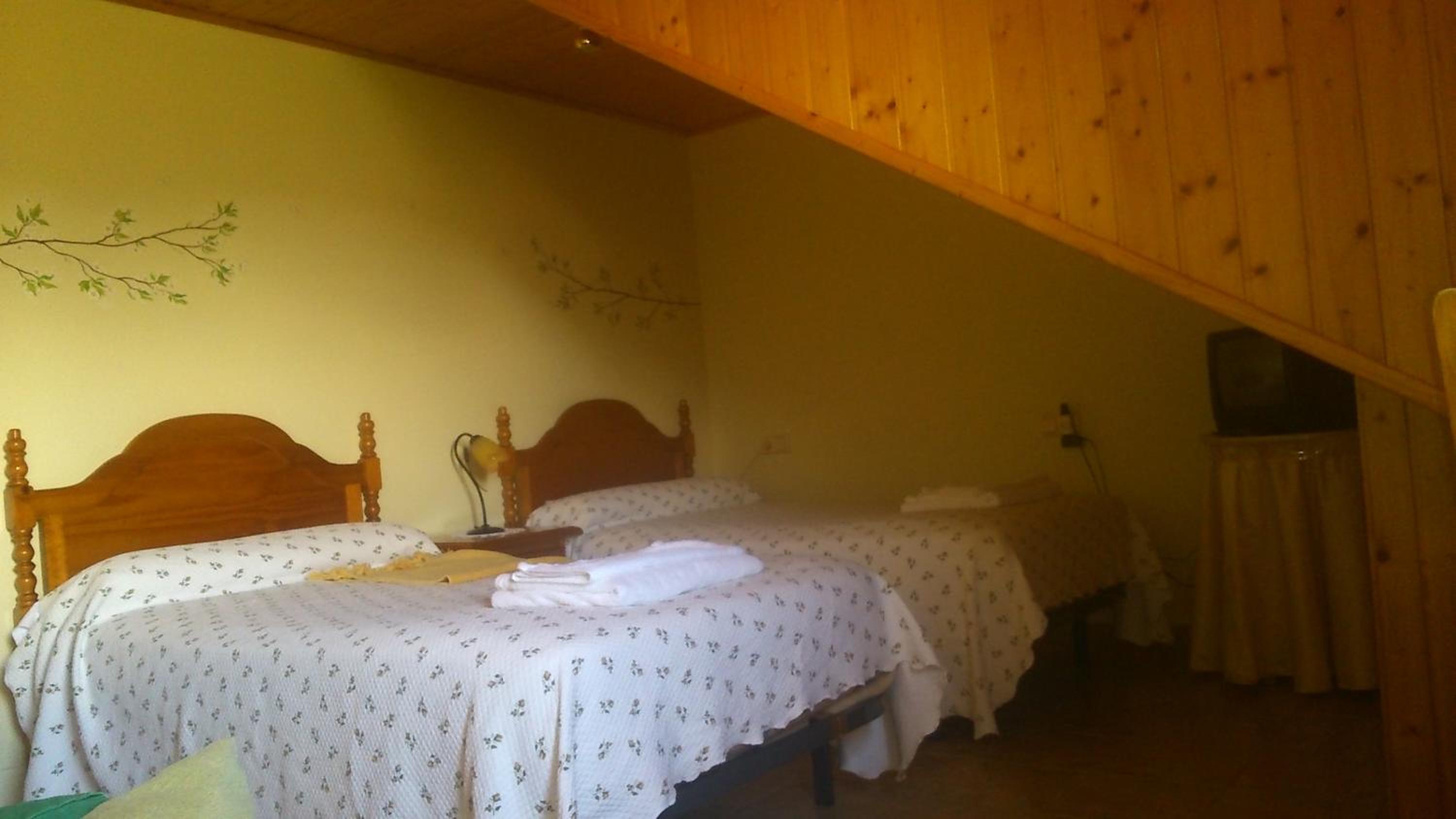 Twin Room photo 3