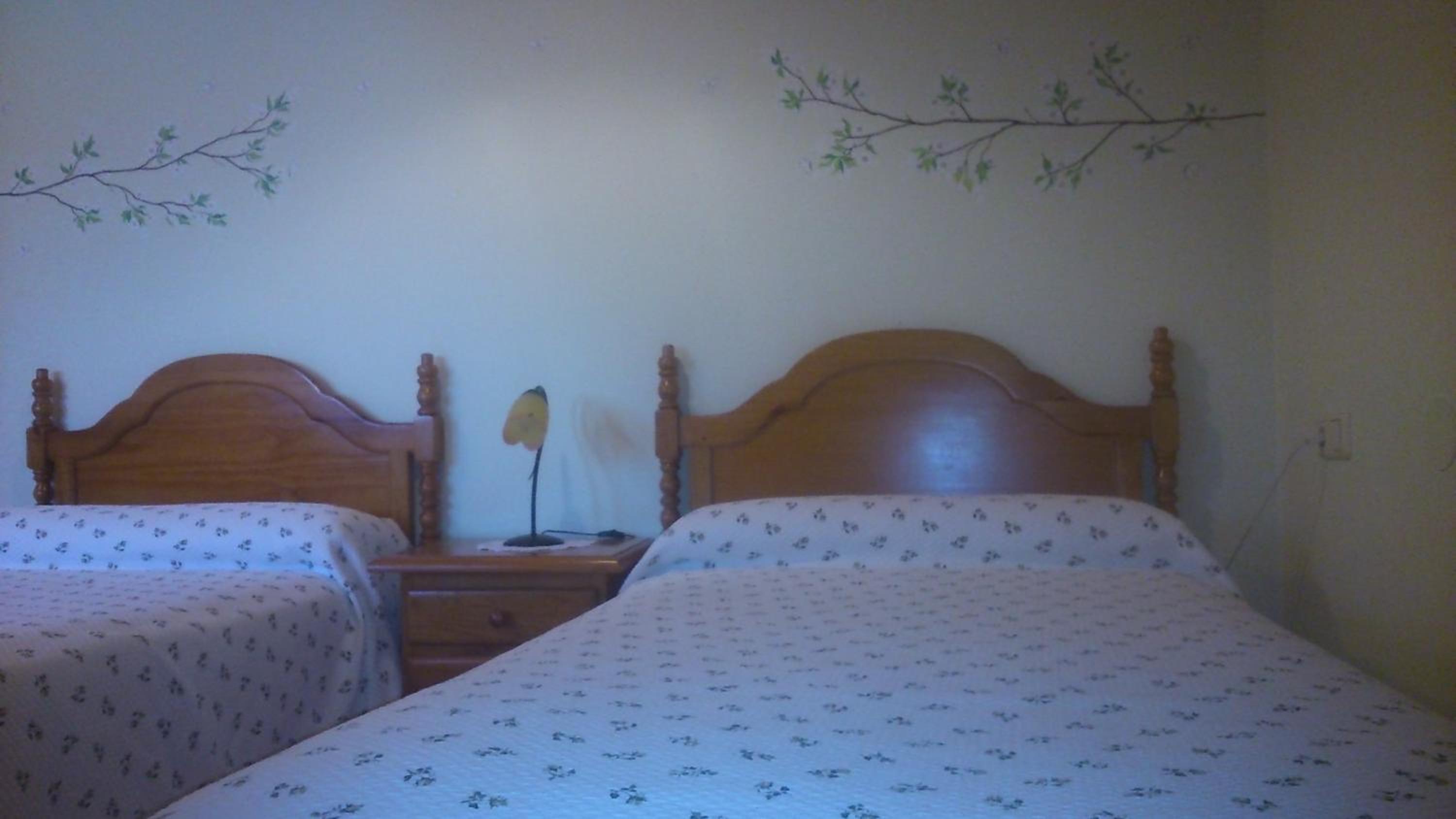 Twin Room photo 2