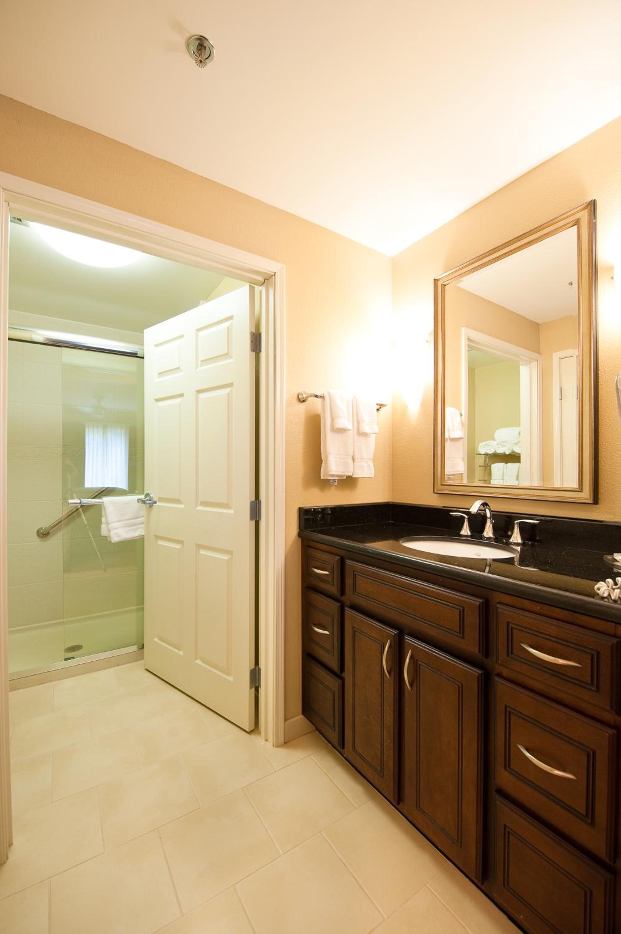 Studio Suite - Photo 4