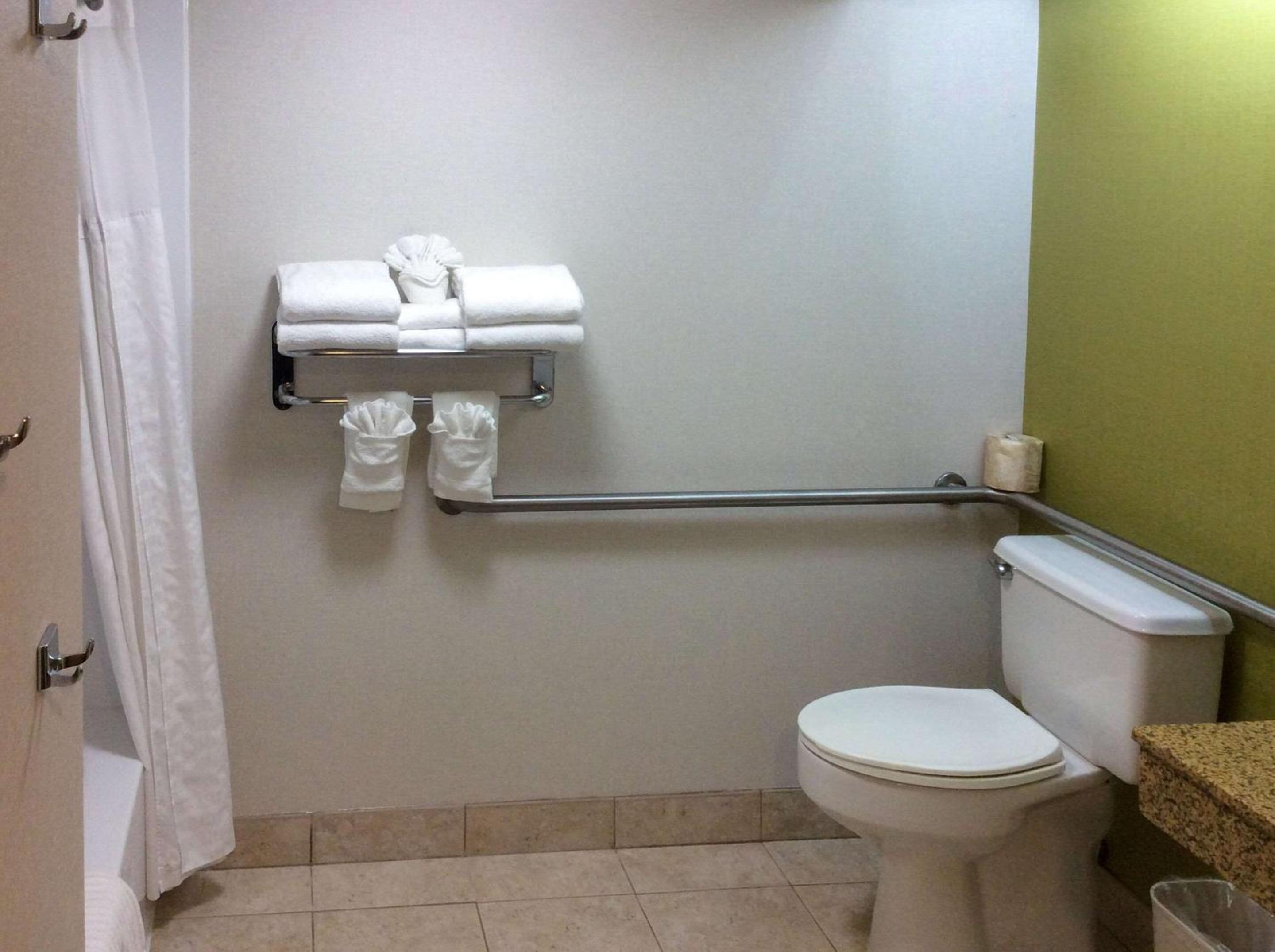 Accessible Room, 1 King Bed, Tub, Non Smoking - Photo 5