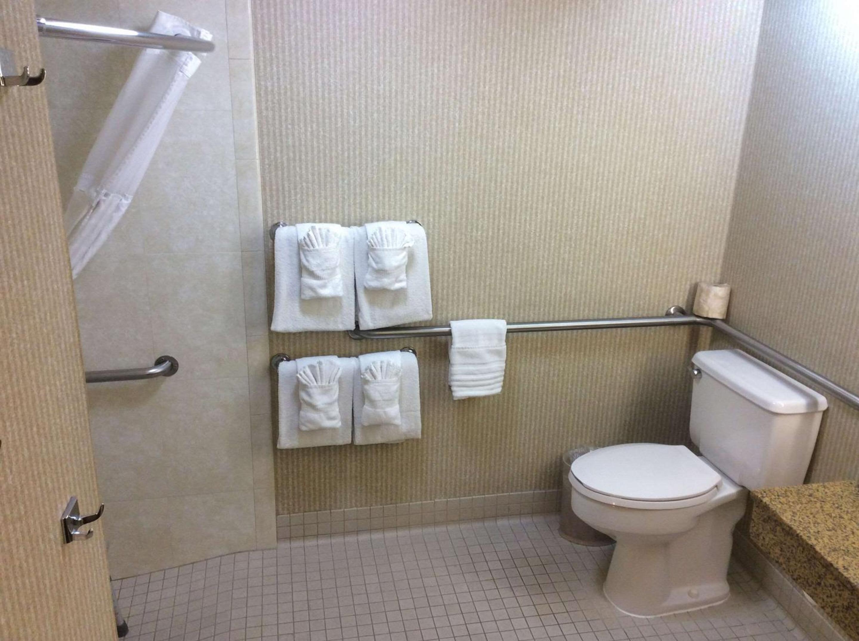 Accessible Room, 1 King Bed, Roll-In Shower, Non Smoking - Photo 6