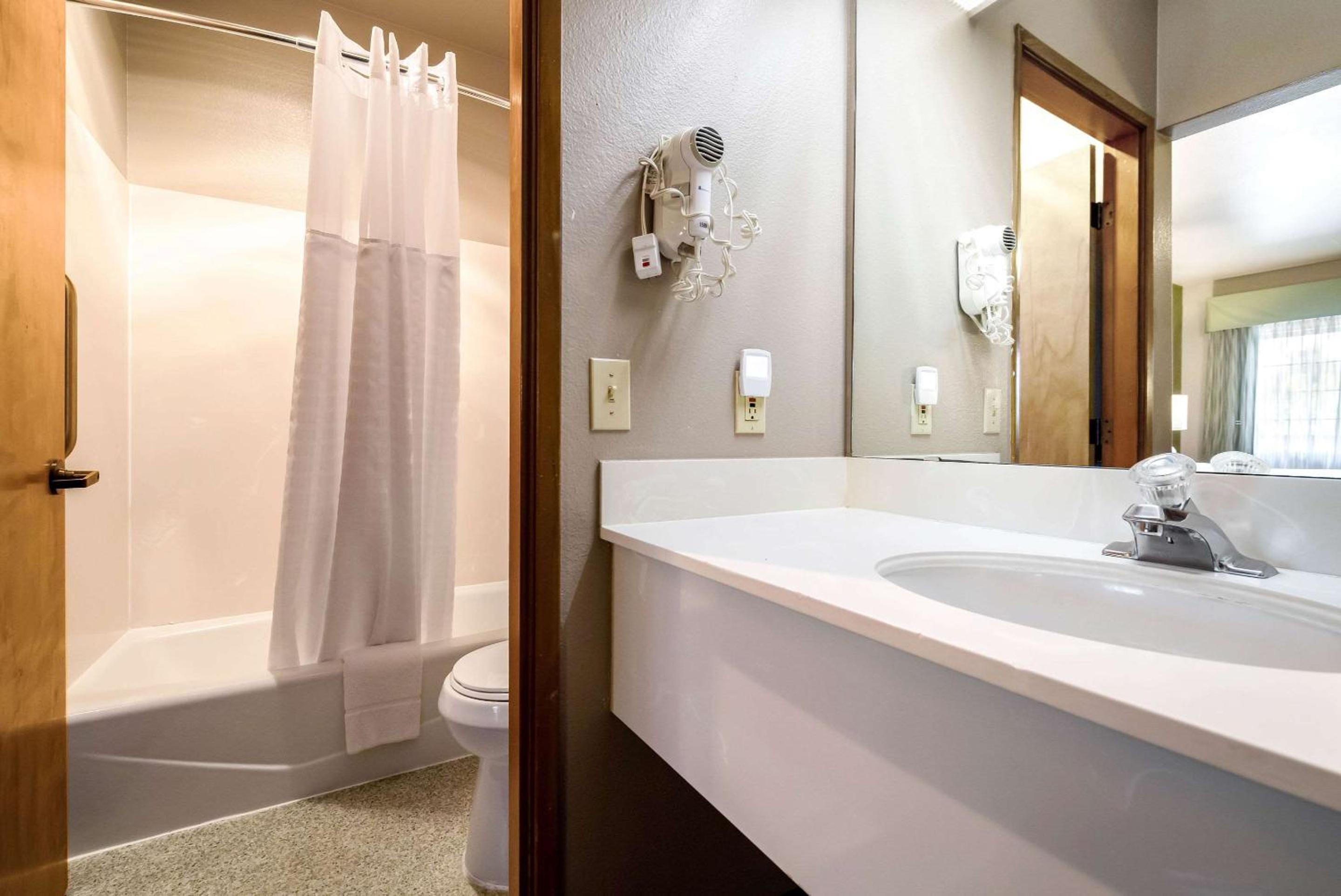 King Room - Pet Friendly/Non-Smoking photo 3