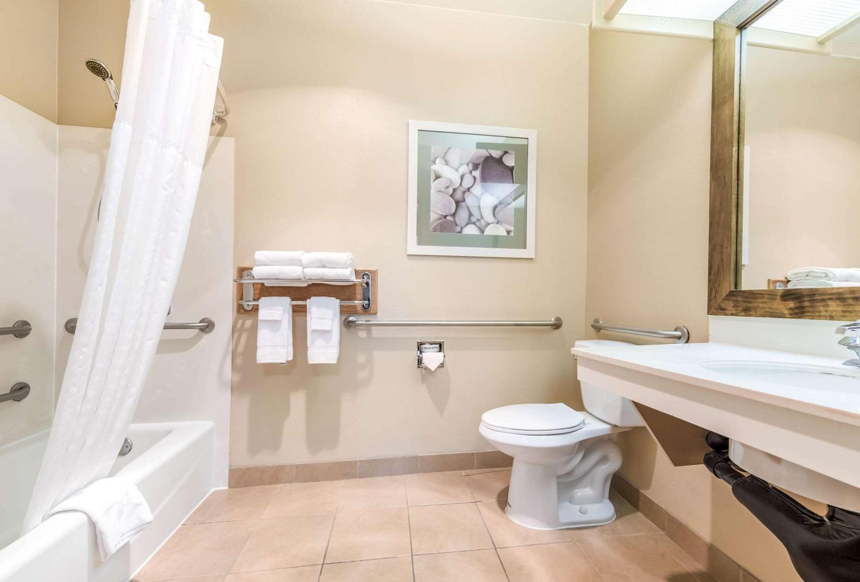 Efficiency Queen Suite - Accessible/Non-Smoking - Photo 4