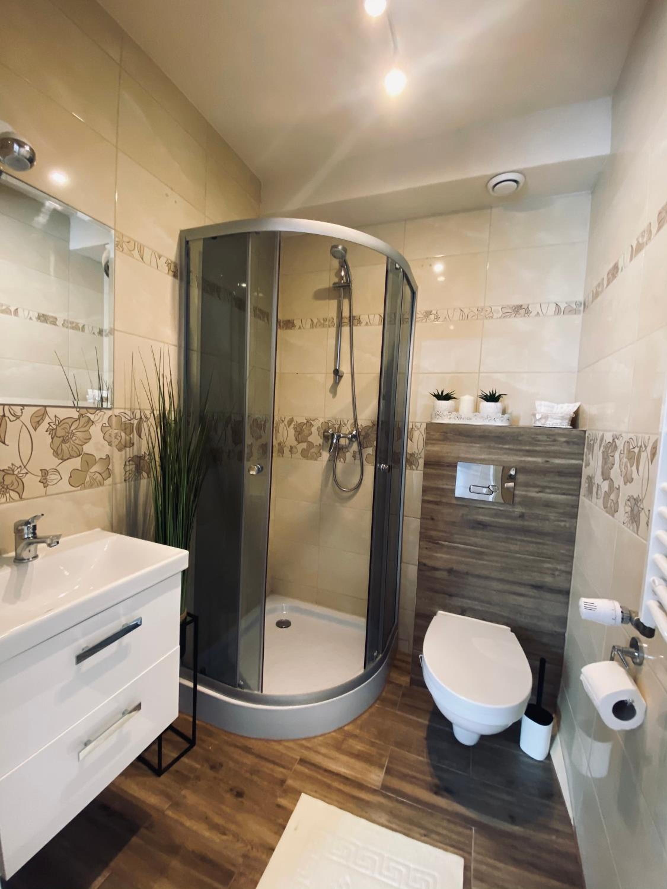Apartment with Shower photo 2