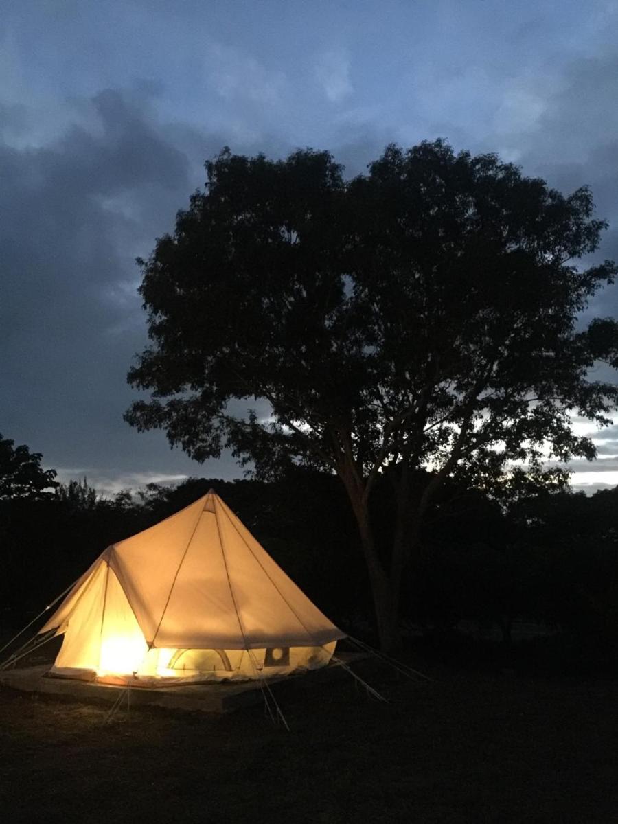 Tent photo 2