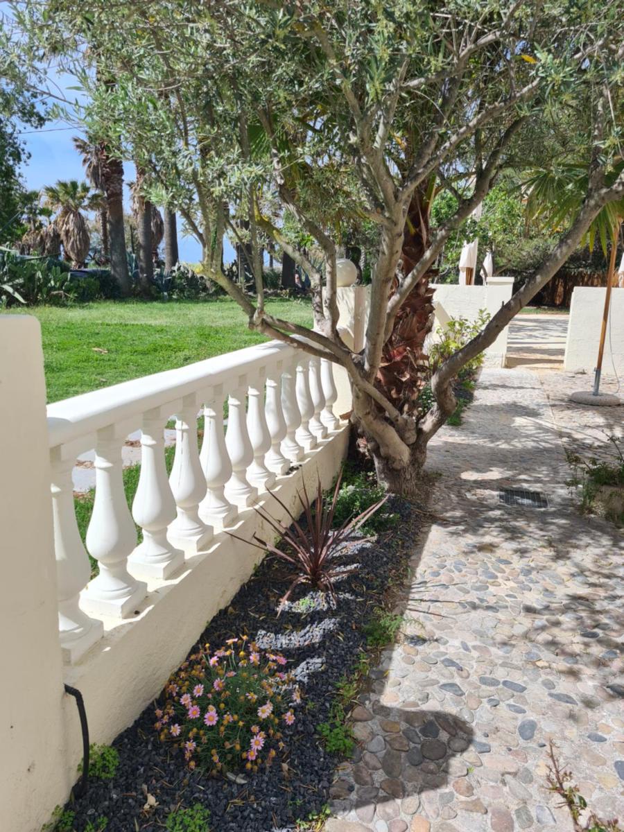 Double Room with Terrace photo 1
