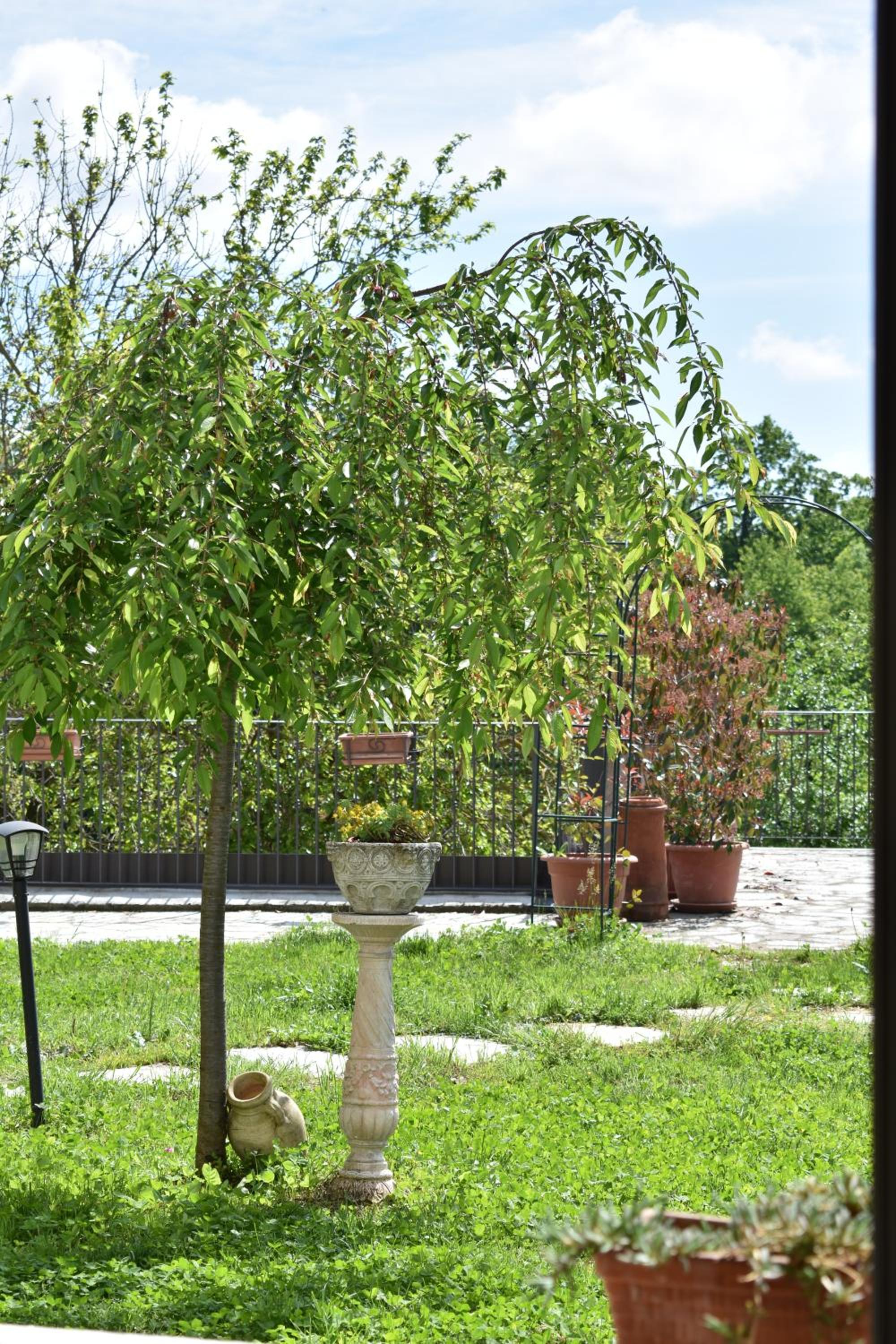 Quadruple Room with Garden View photo 3