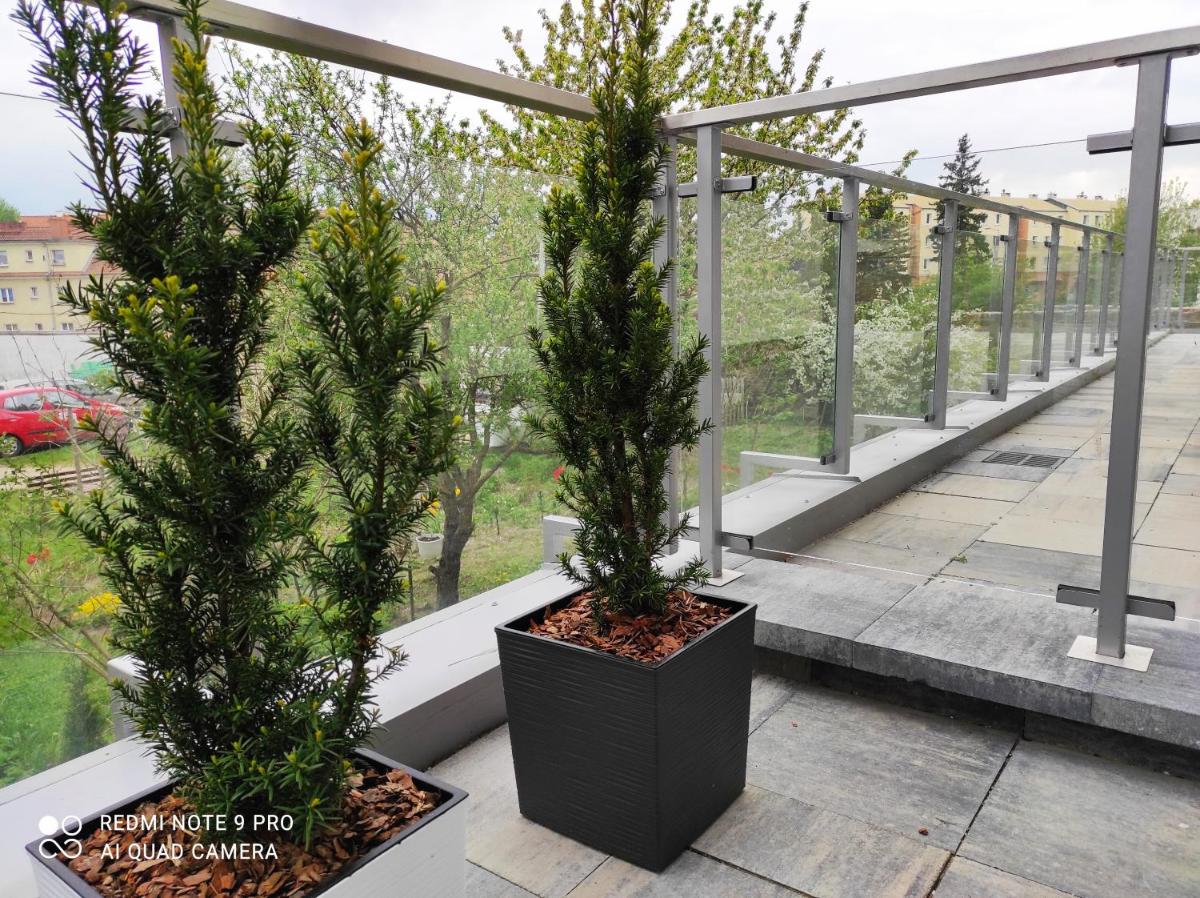 Apartment - Photo 25