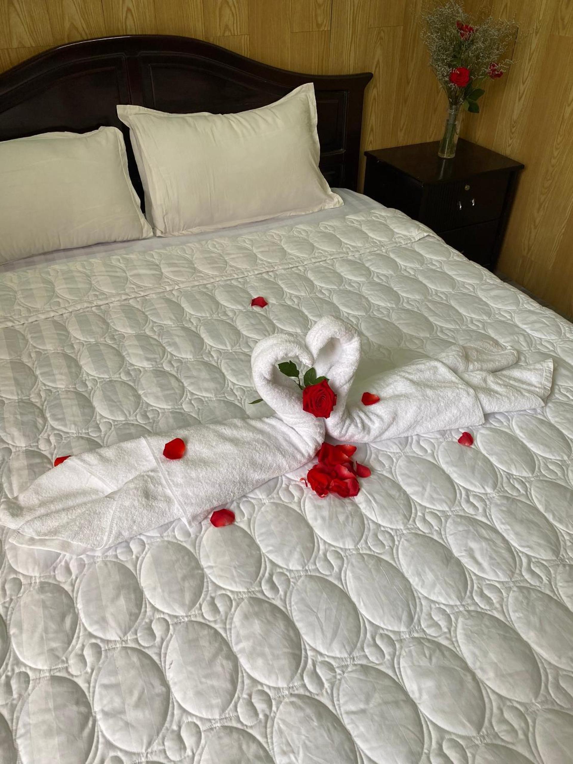 Superior Queen Room
