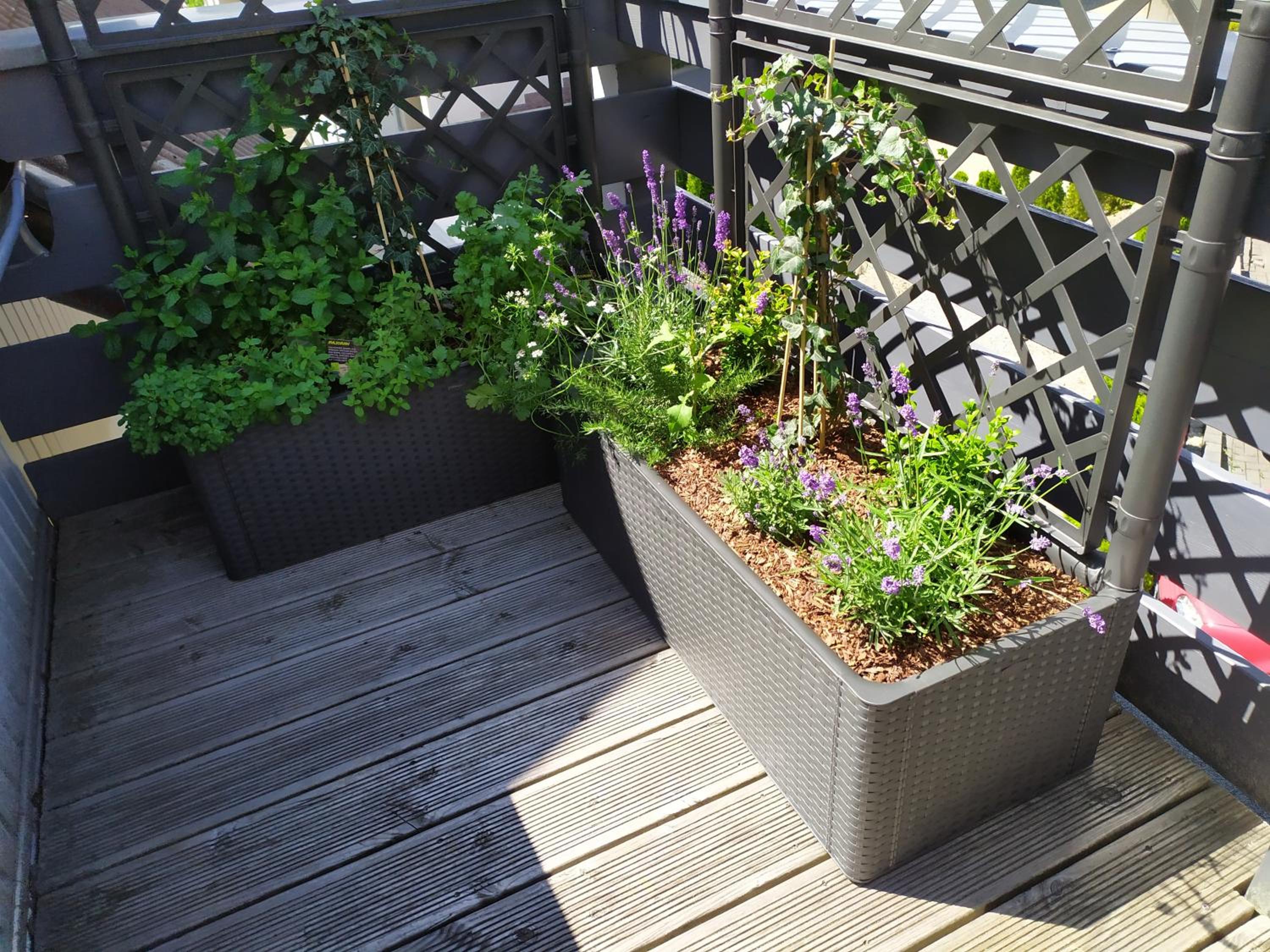 Two-Bedroom Apartment with Balcony photo 3