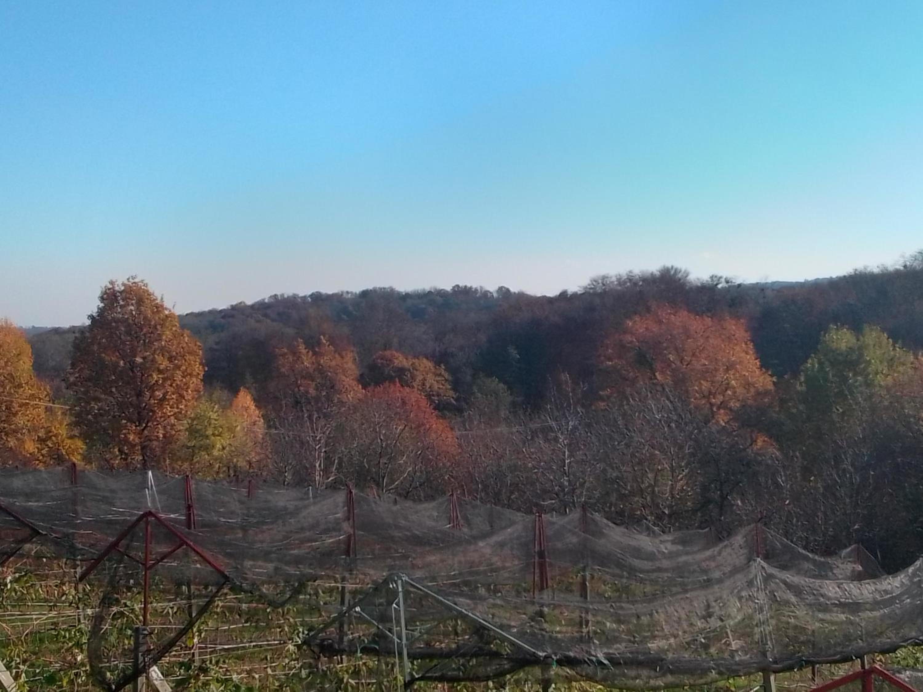 One-Bedroom Apartment - Photo 43