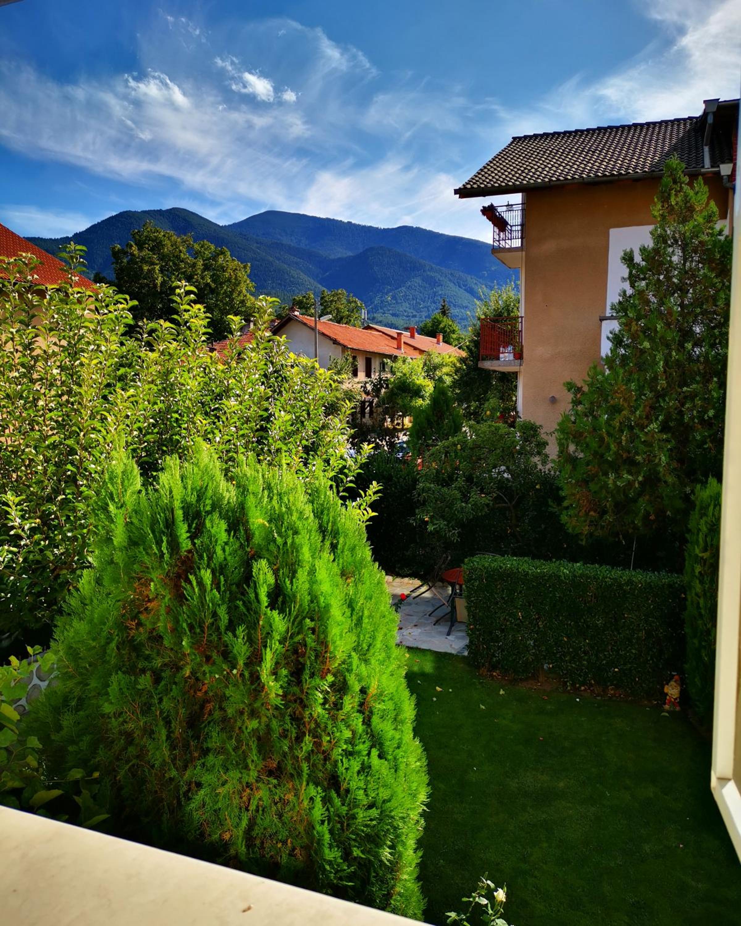 Triple Room with Terrace photo 3