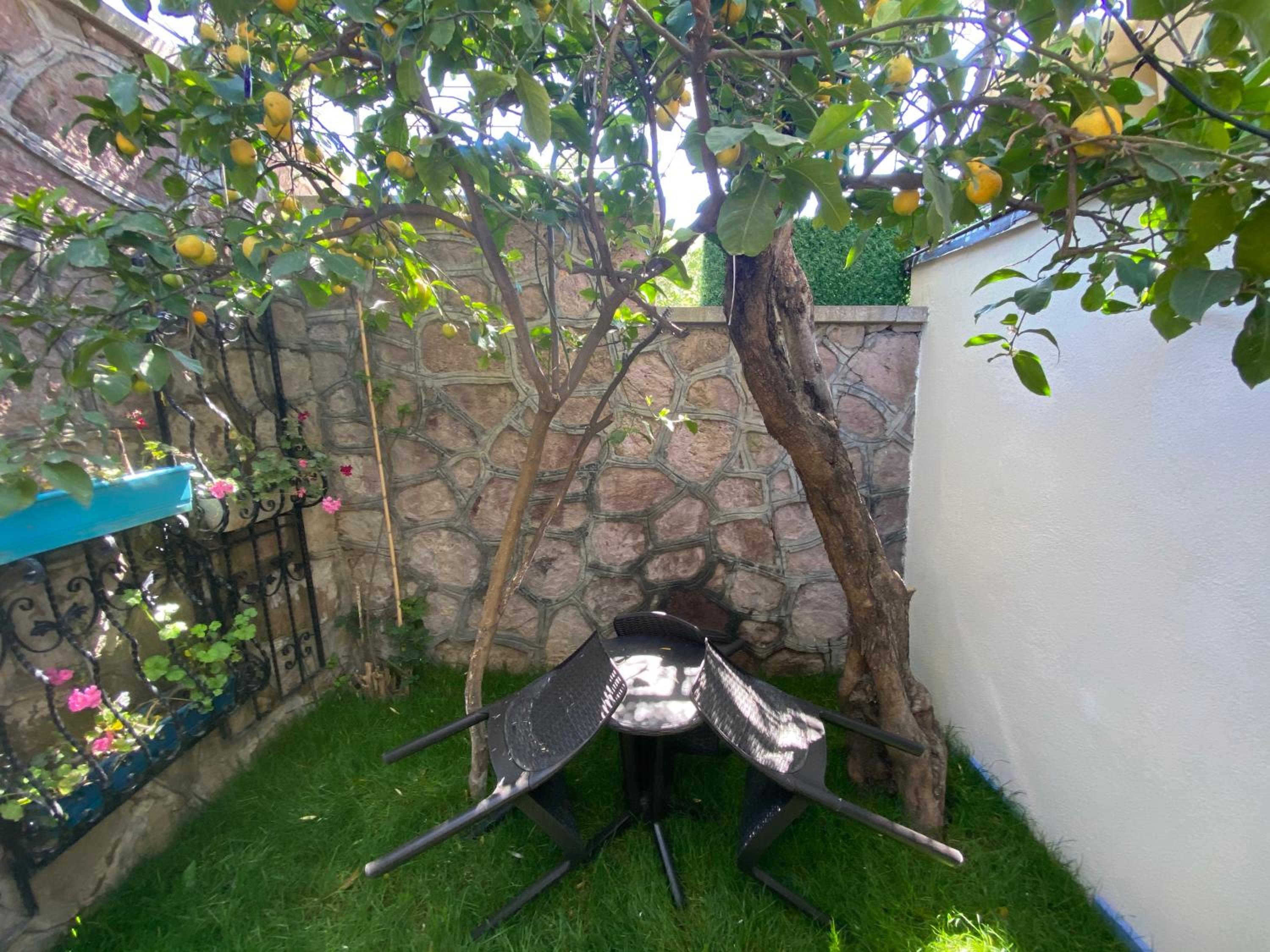 Triple Room with Garden View photo 3