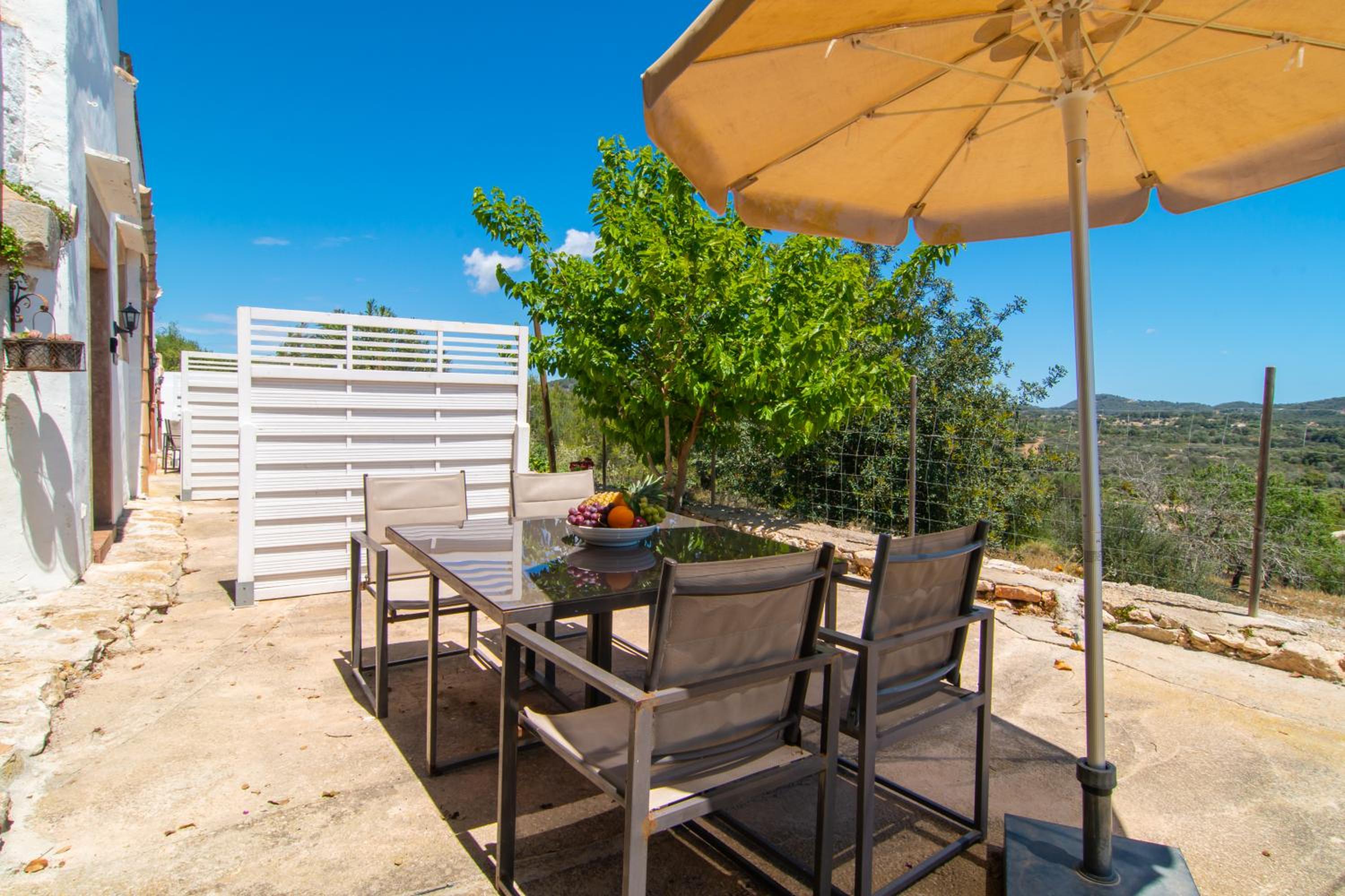 Superior Studio with Terrace photo 3