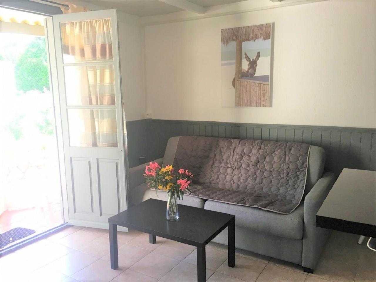 Studio with Garden View
