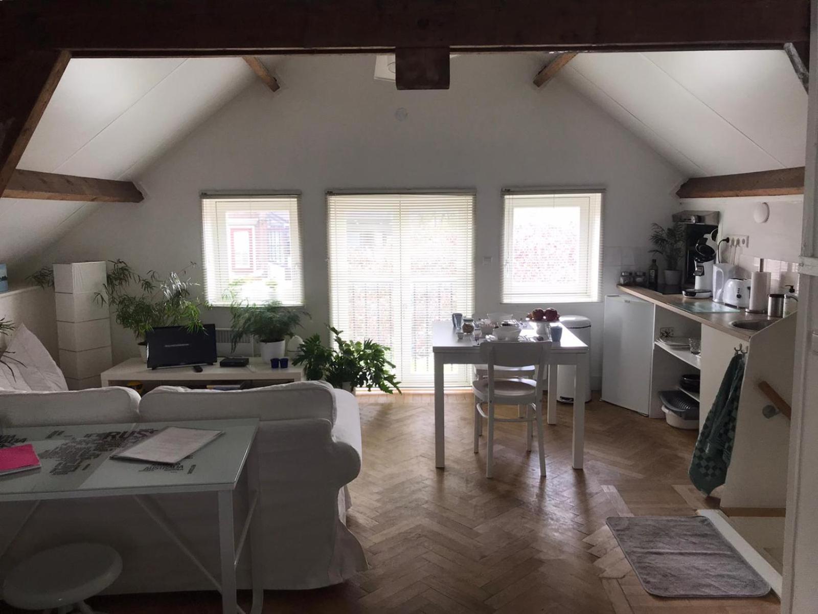 Little Loft with River View