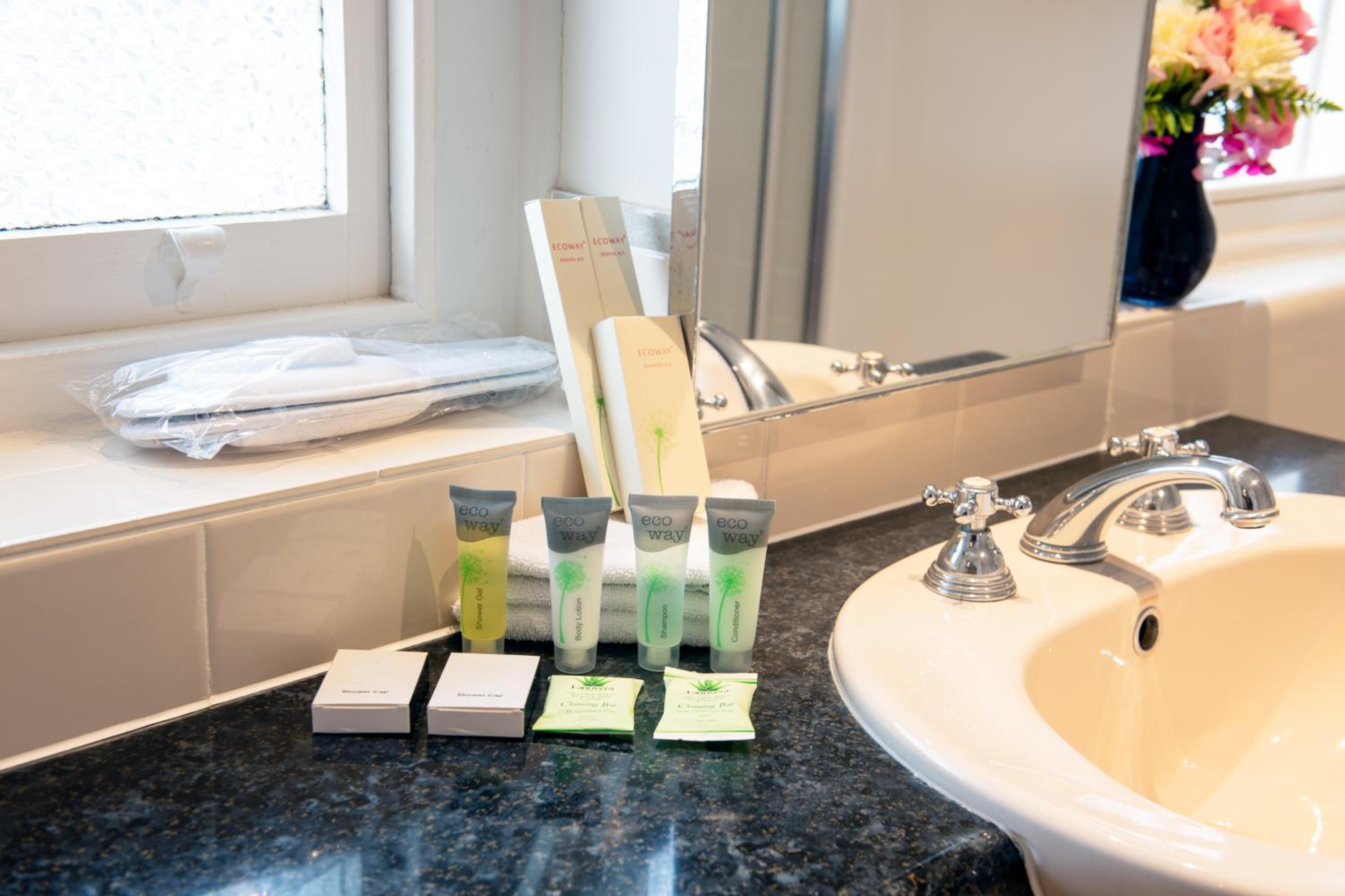 Deluxe Suite with Spa Bath - Photo 12