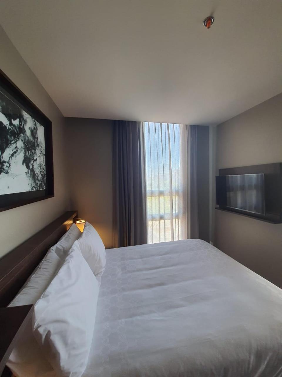 Suite, 1 Bedroom, Kitchen