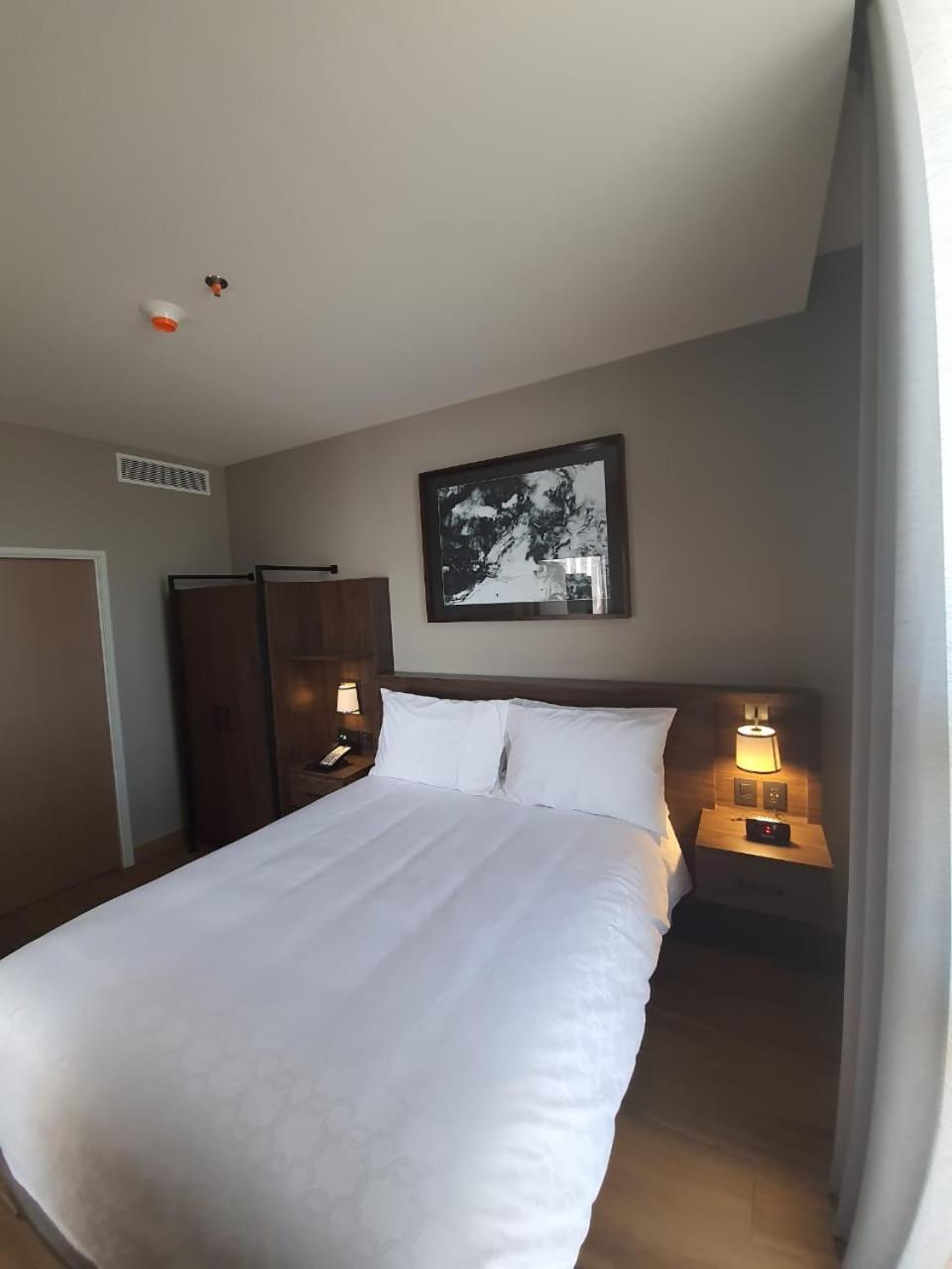 Suite, 1 Bedroom, Kitchen