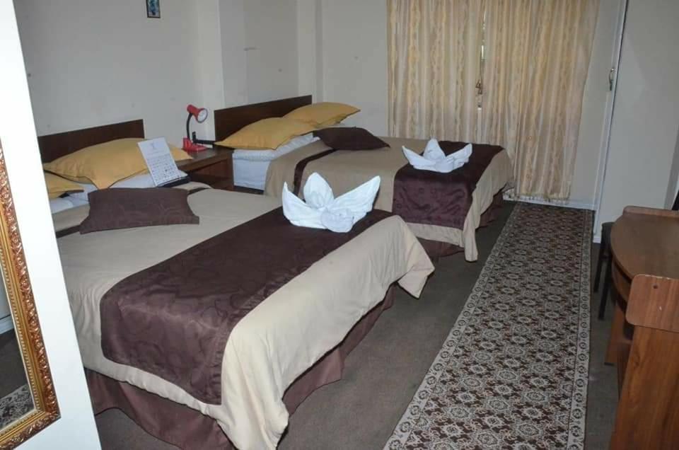 Double Room with Two Double Beds photo 3