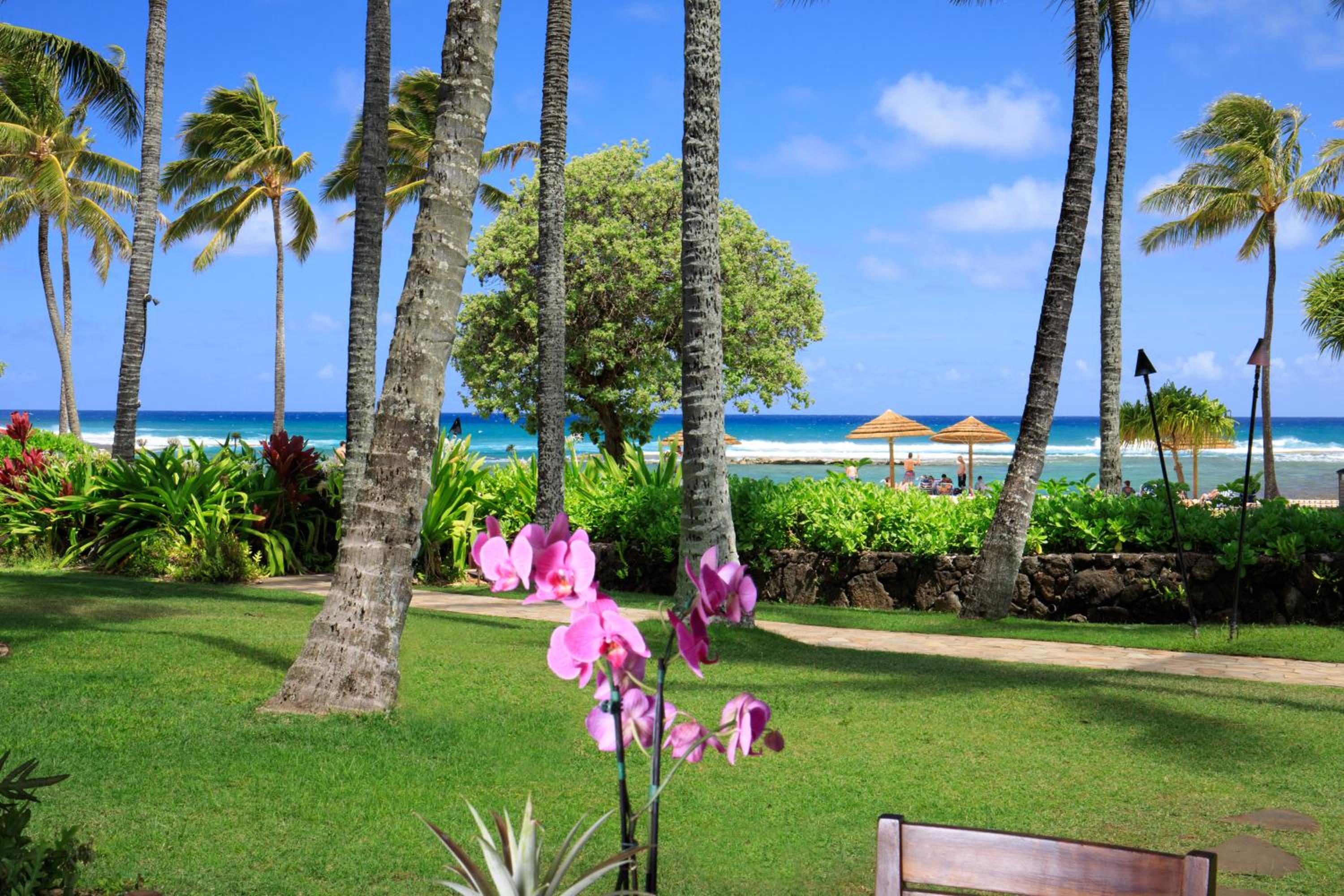 Villa - Beach Front photo 3
