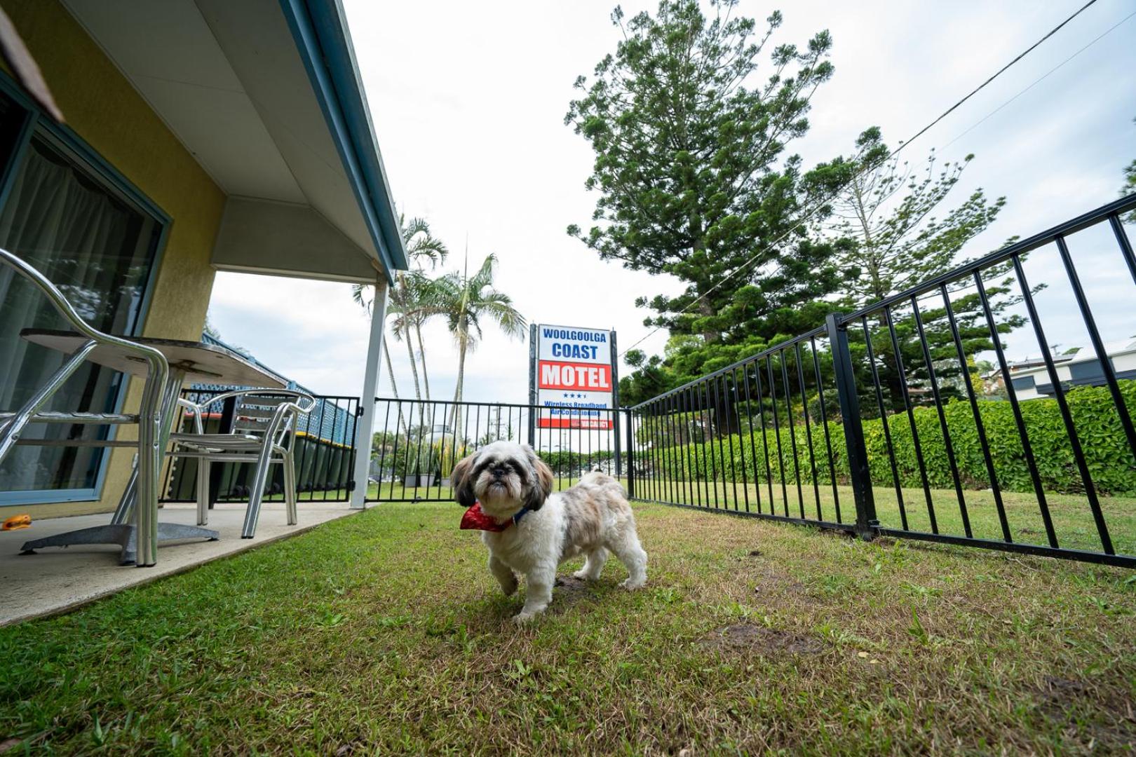 Queen Room - Pet Friendly - Photo 2