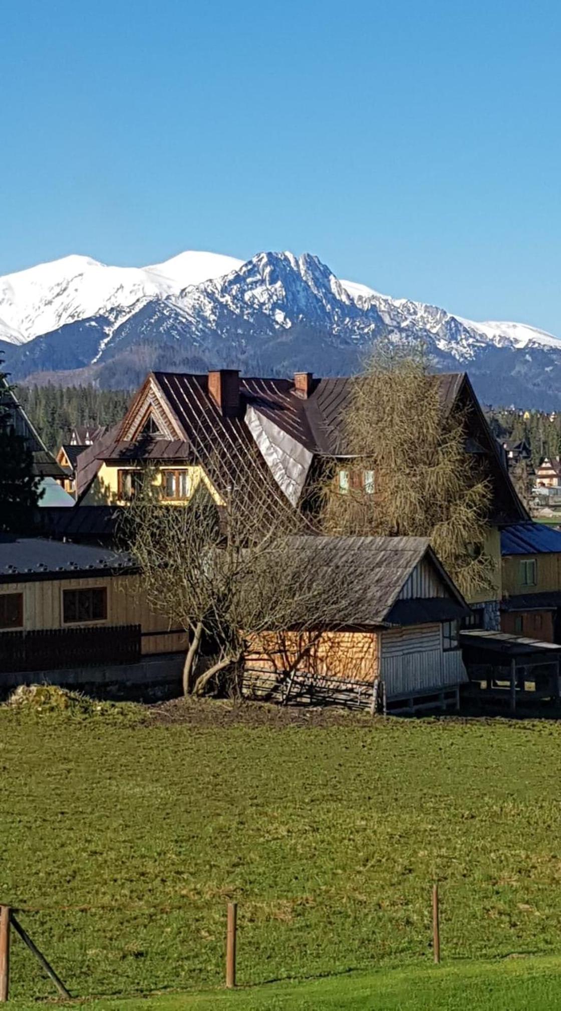 Three-Bedroom Chalet photo 2