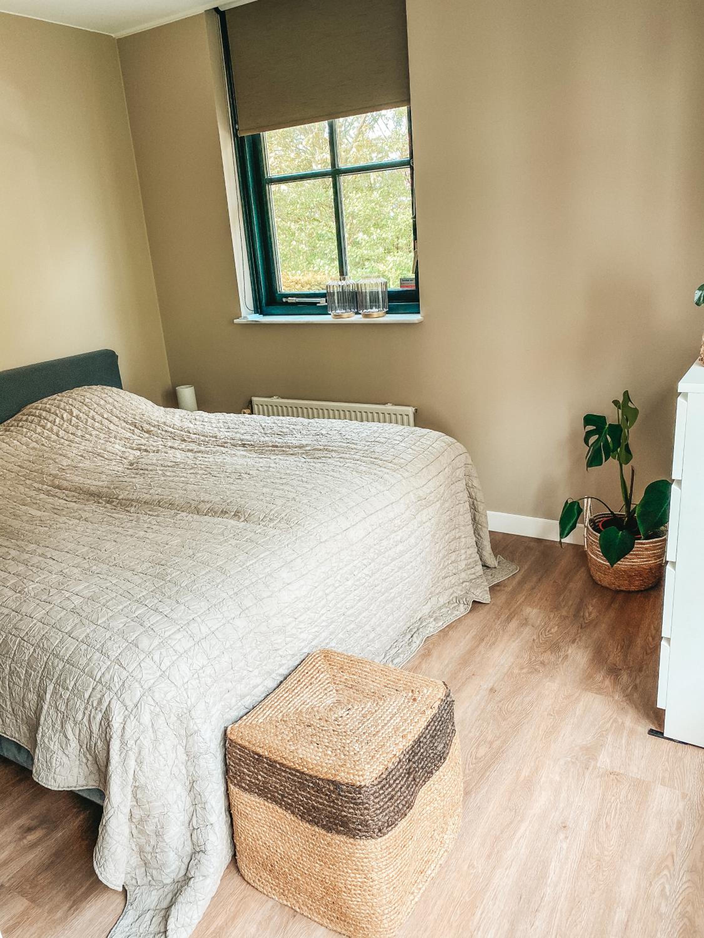 One-Bedroom House photo 3