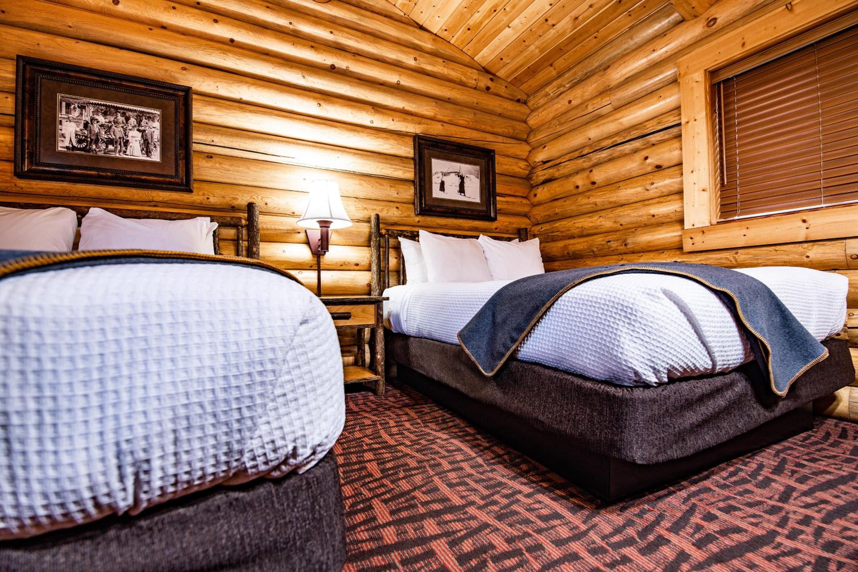 Log Cabin with two queen beds  - Photo 1