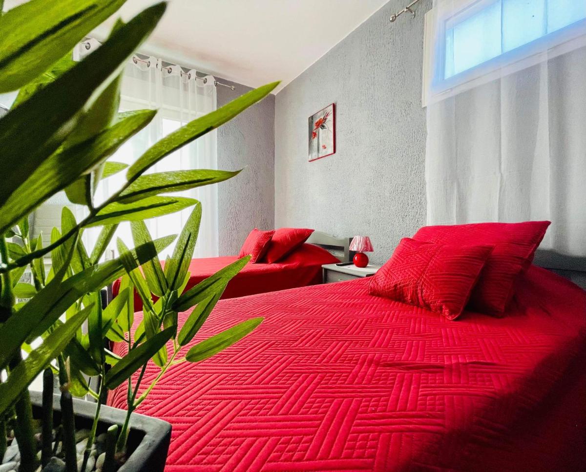 Standard Twin Room photo 1
