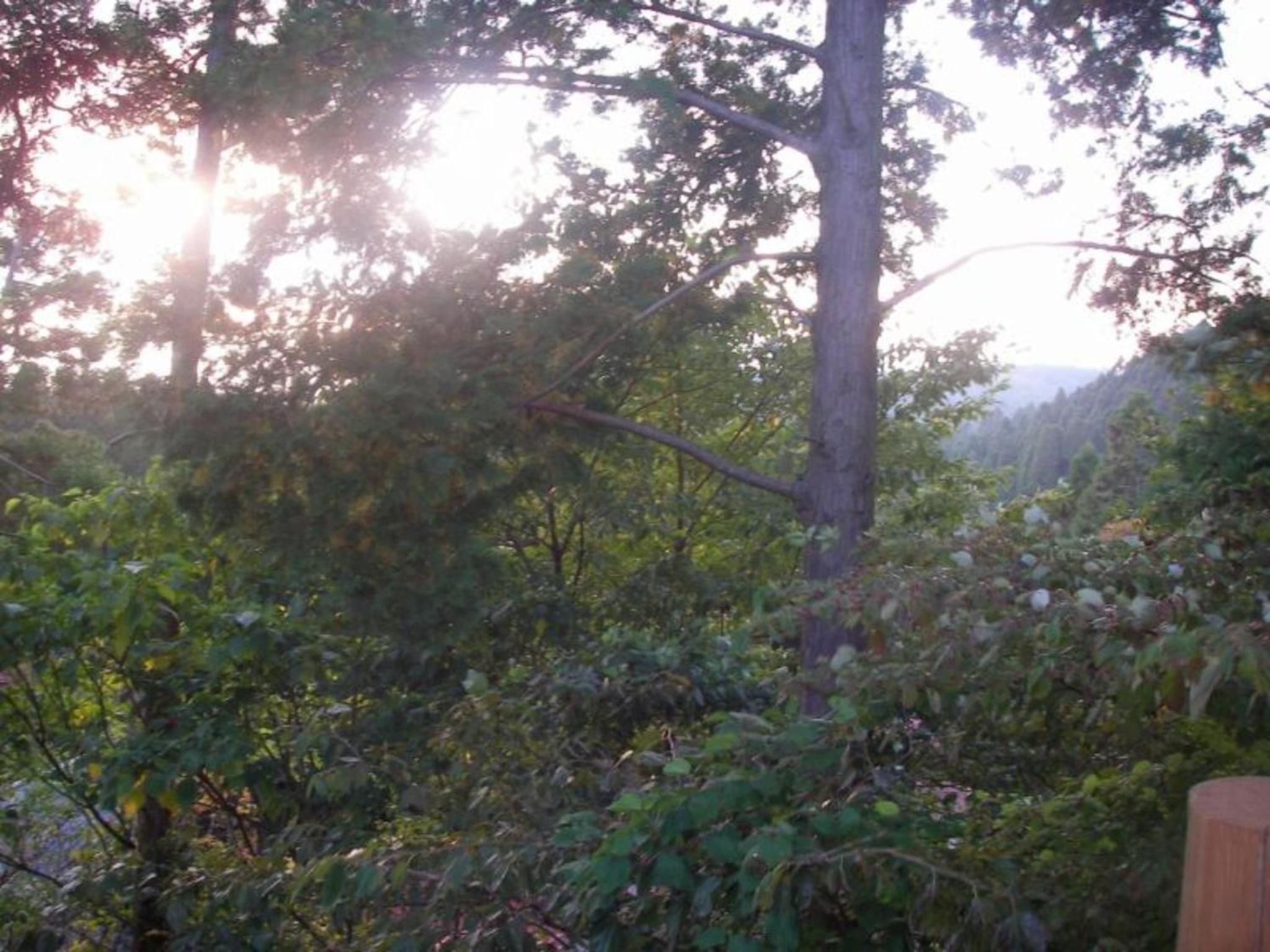 Vacation Home - Photo 3