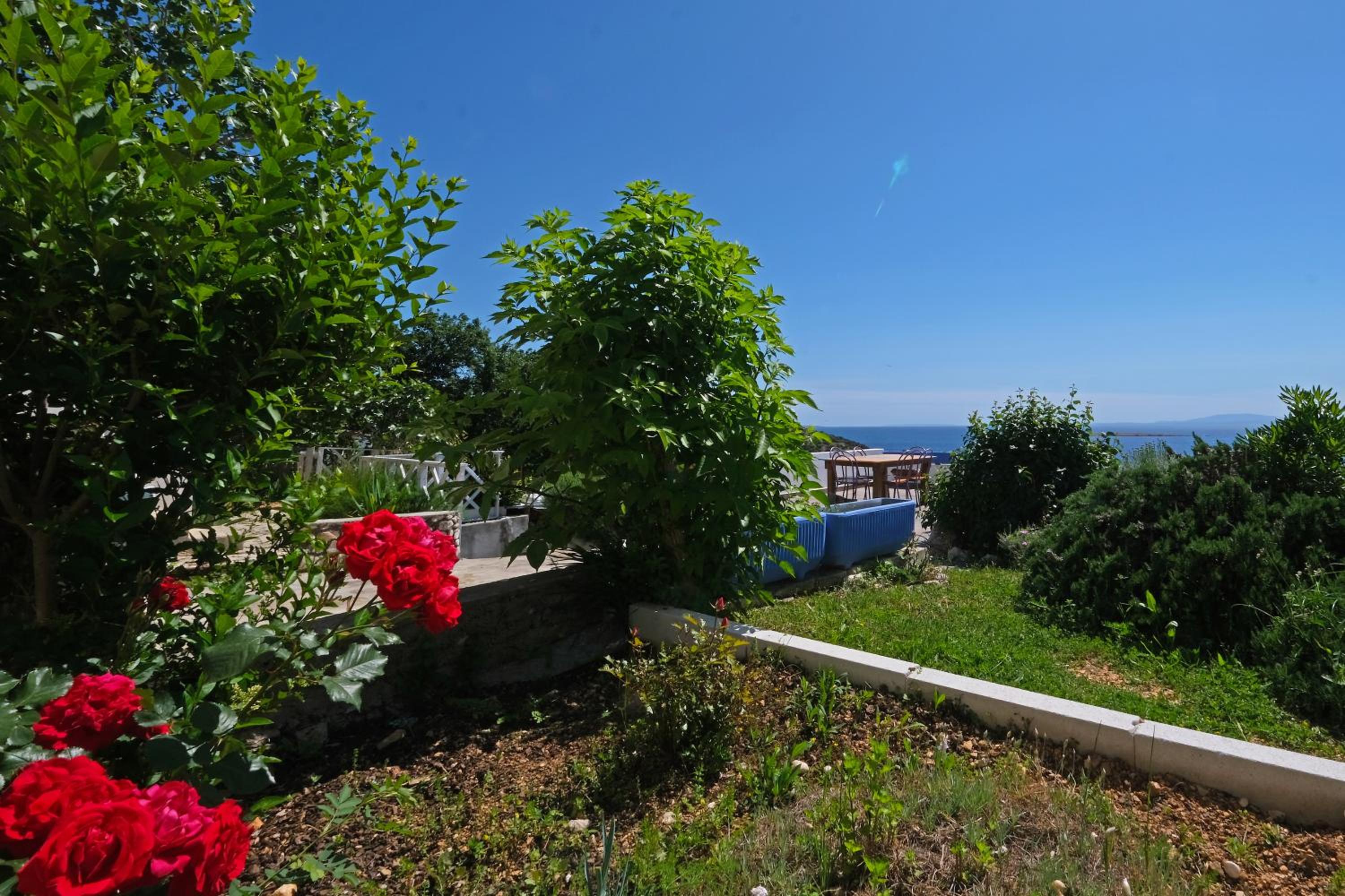 Apartment with Terrace photo 3