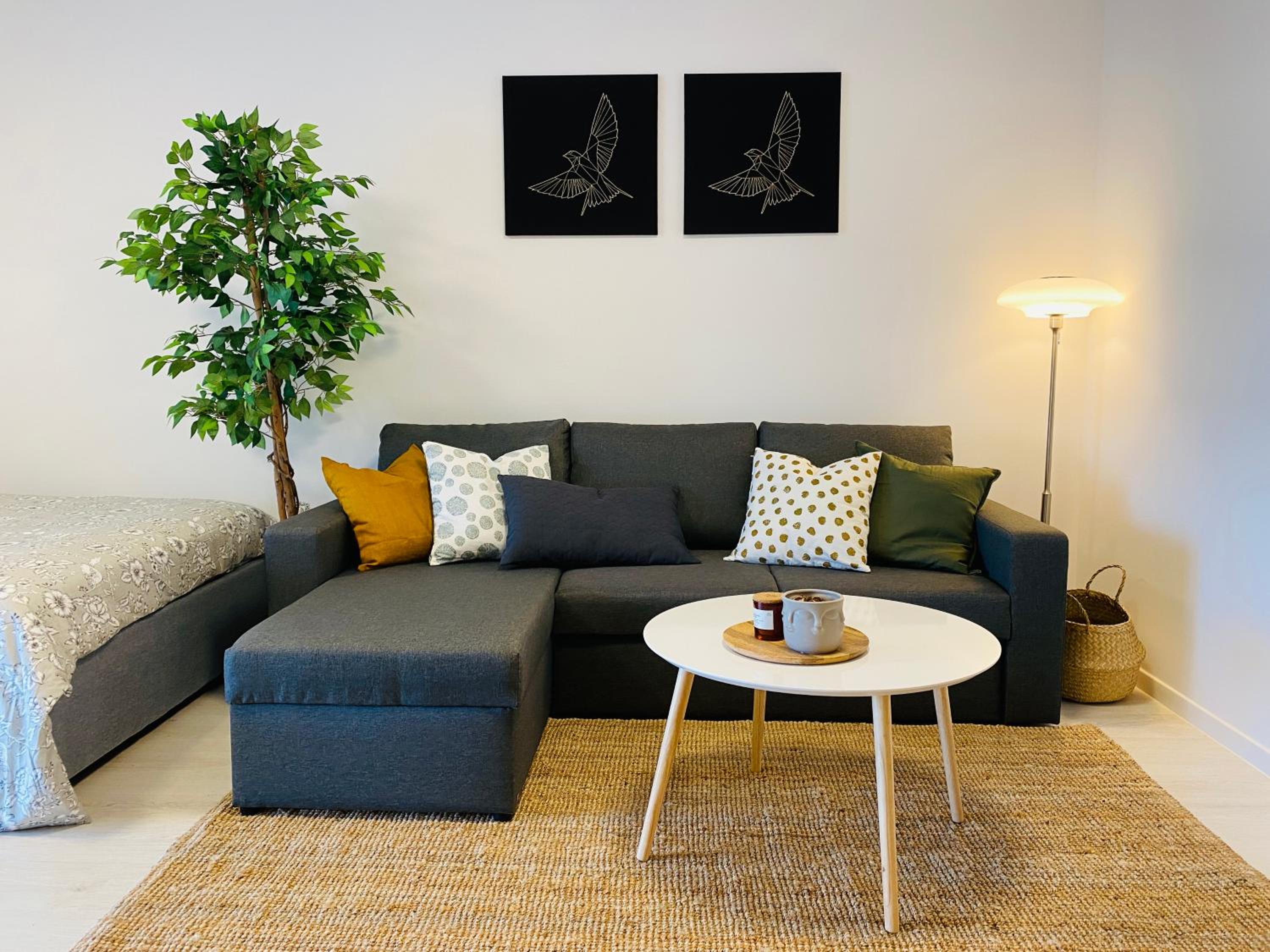 Studio Apartment - Ground Floor (no view) photo 1